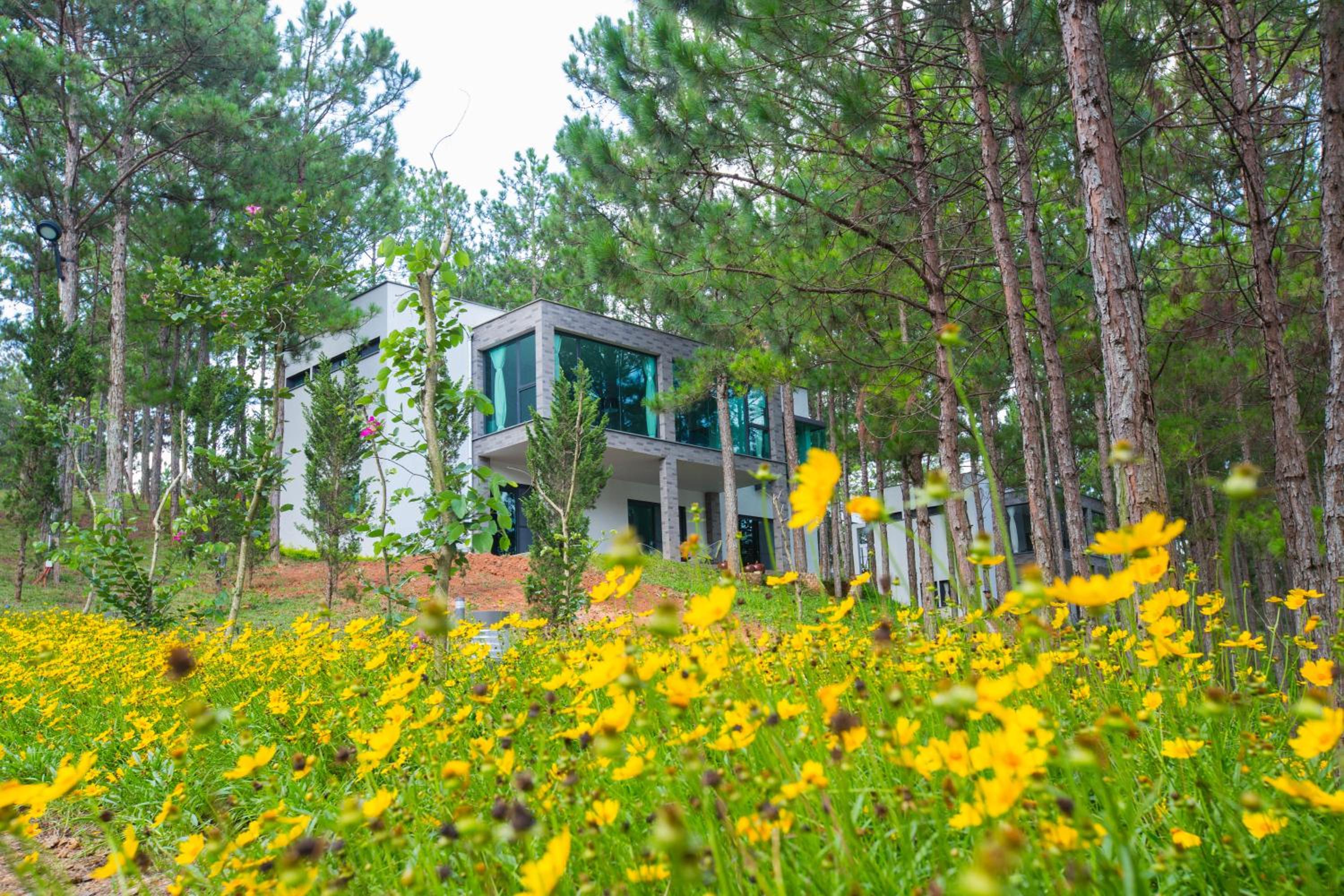 Terracotta Hotel & Resort Dalat