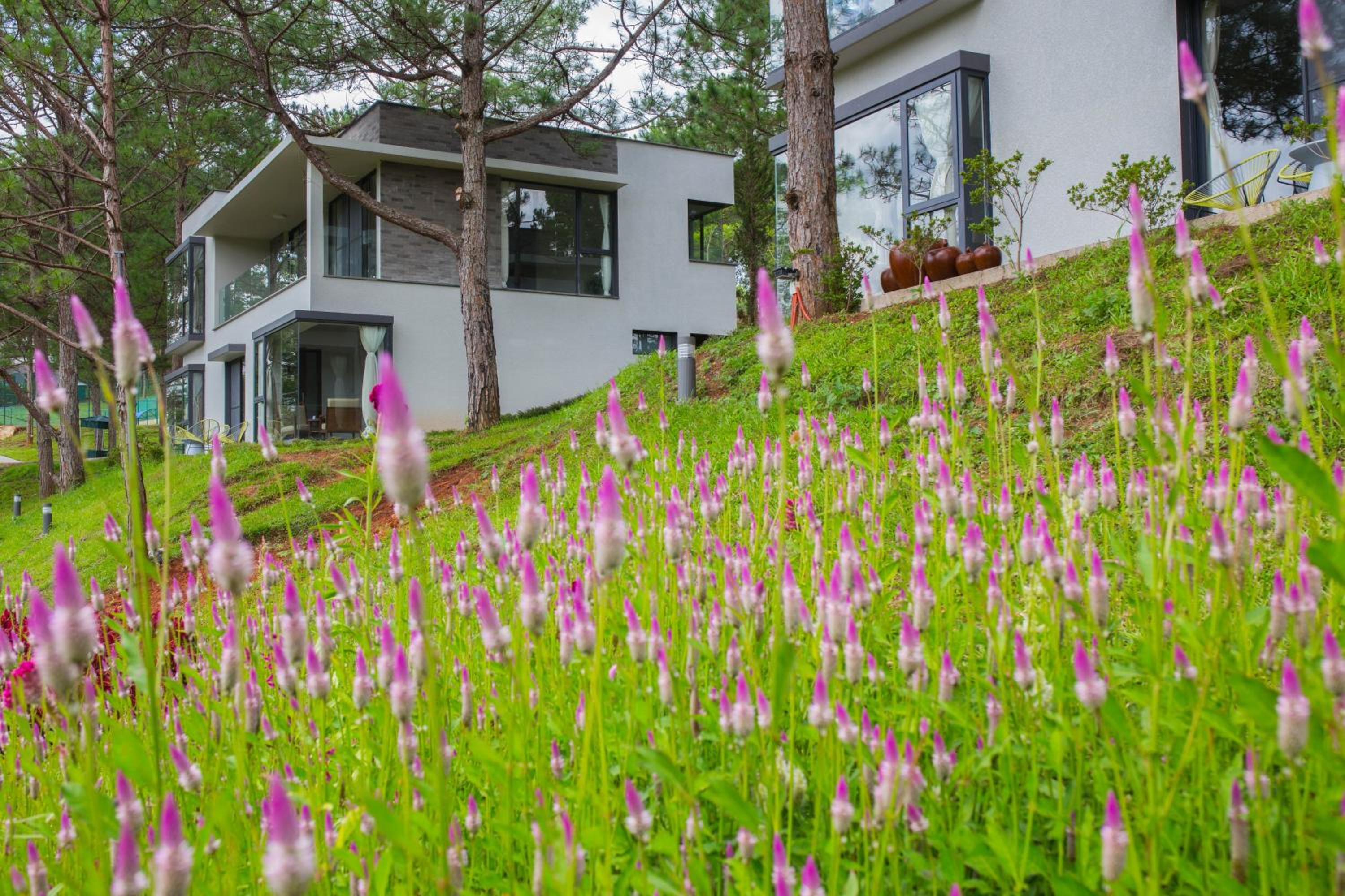 Terracotta Hotel & Resort Dalat