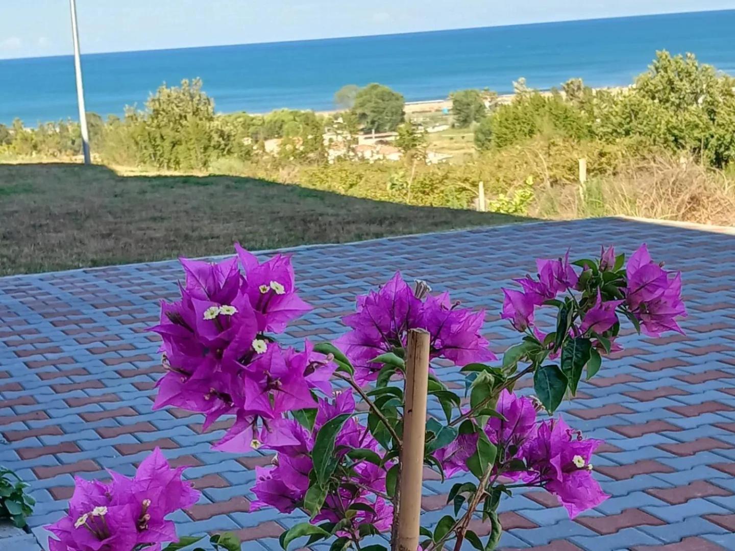 Sol Apartments Gjiri Lalzit