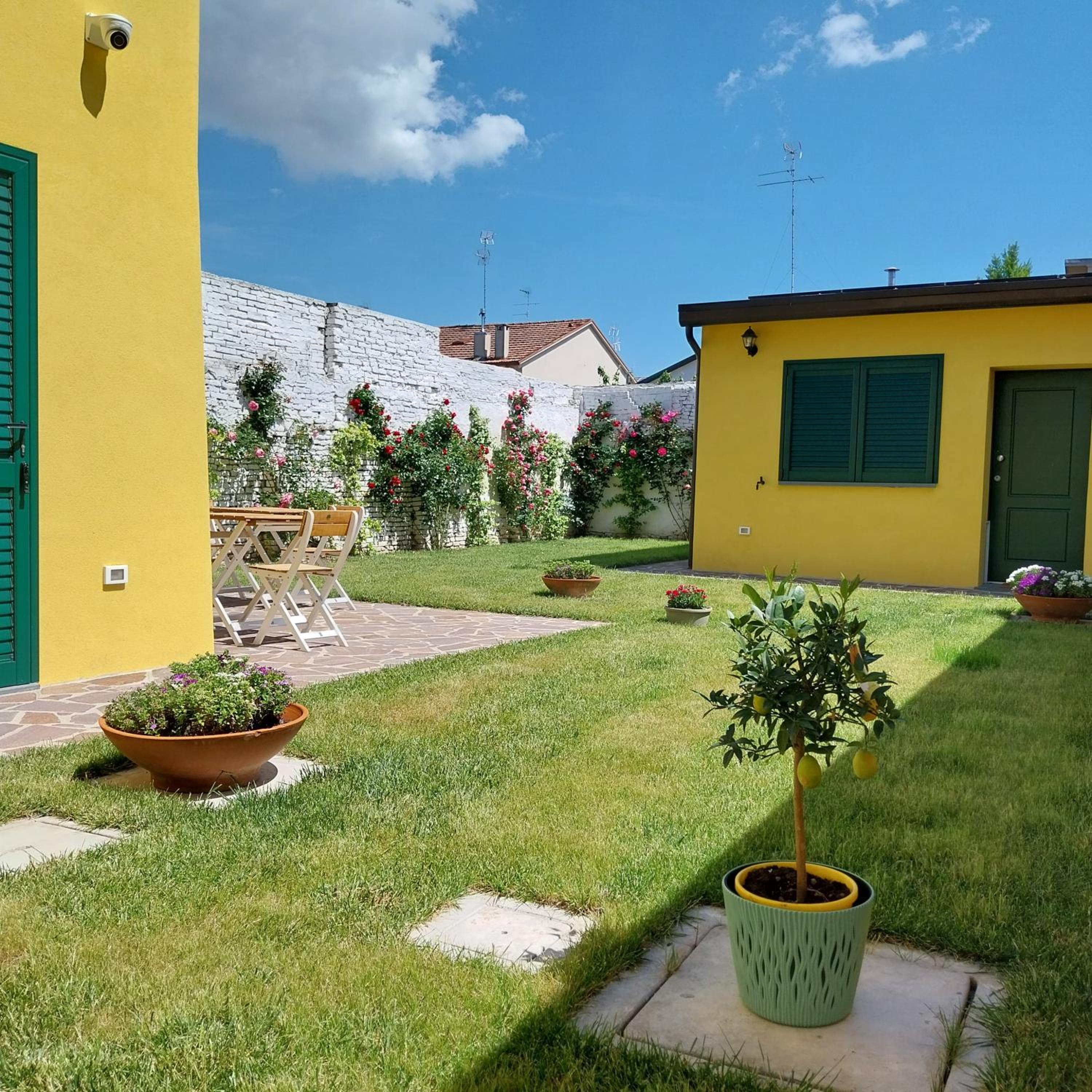 Photo 41