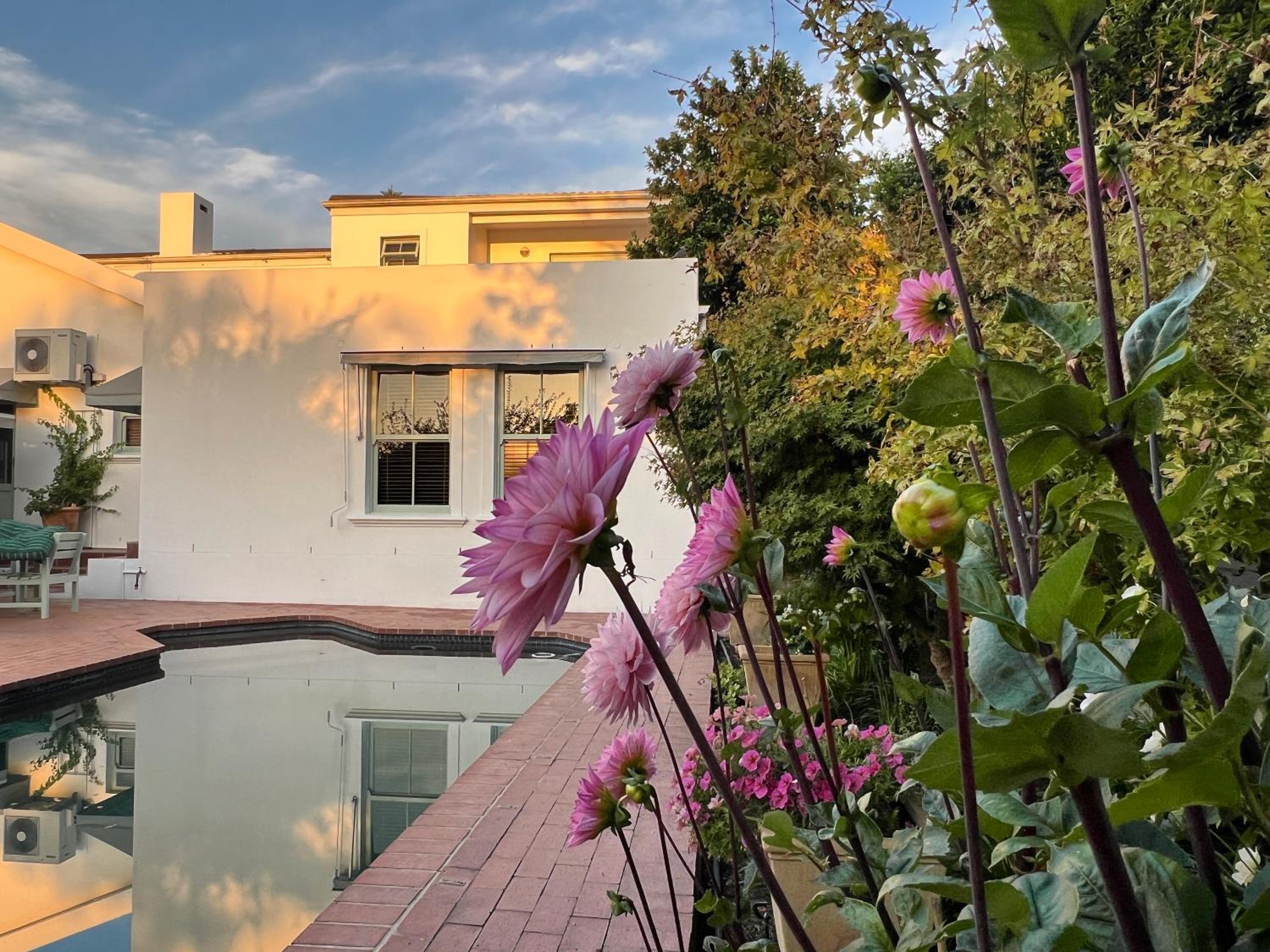 Penelope's Stellenbosch view 5