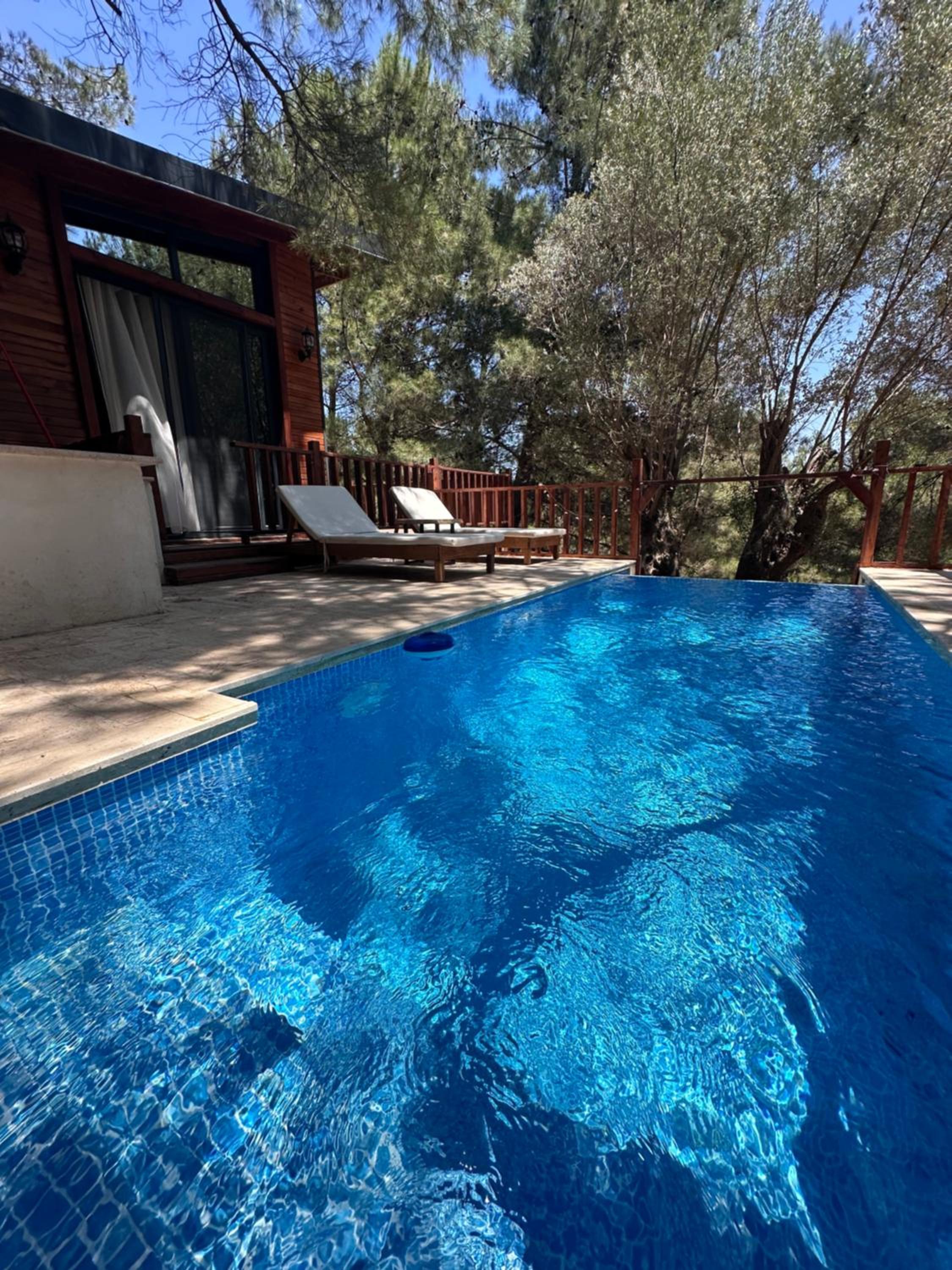 Panurla Ormanın İçinde, yüzme havuz&sauna view 5
