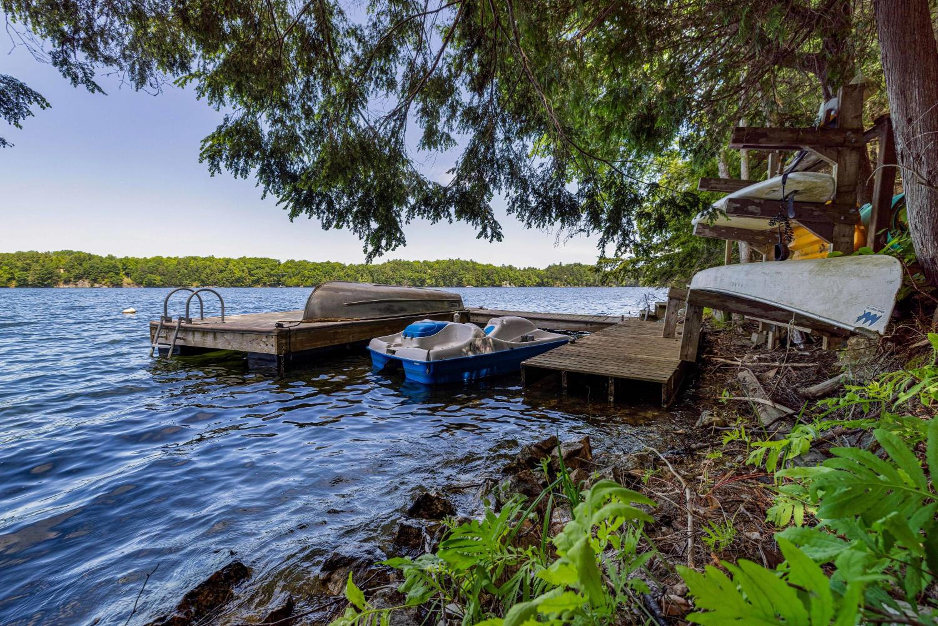 Secluded and beautiful wooded waterfront retreat