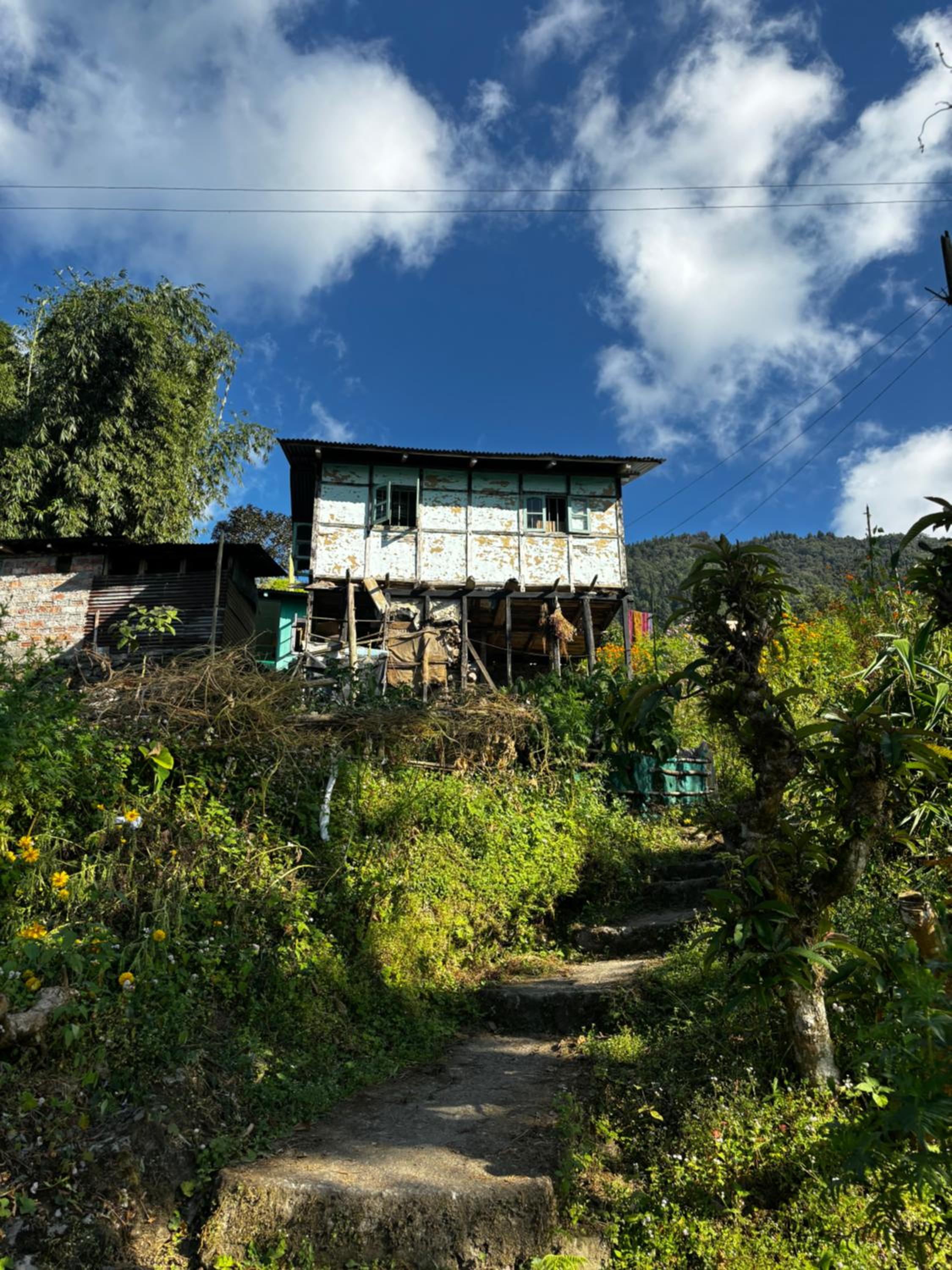 Photo 27
