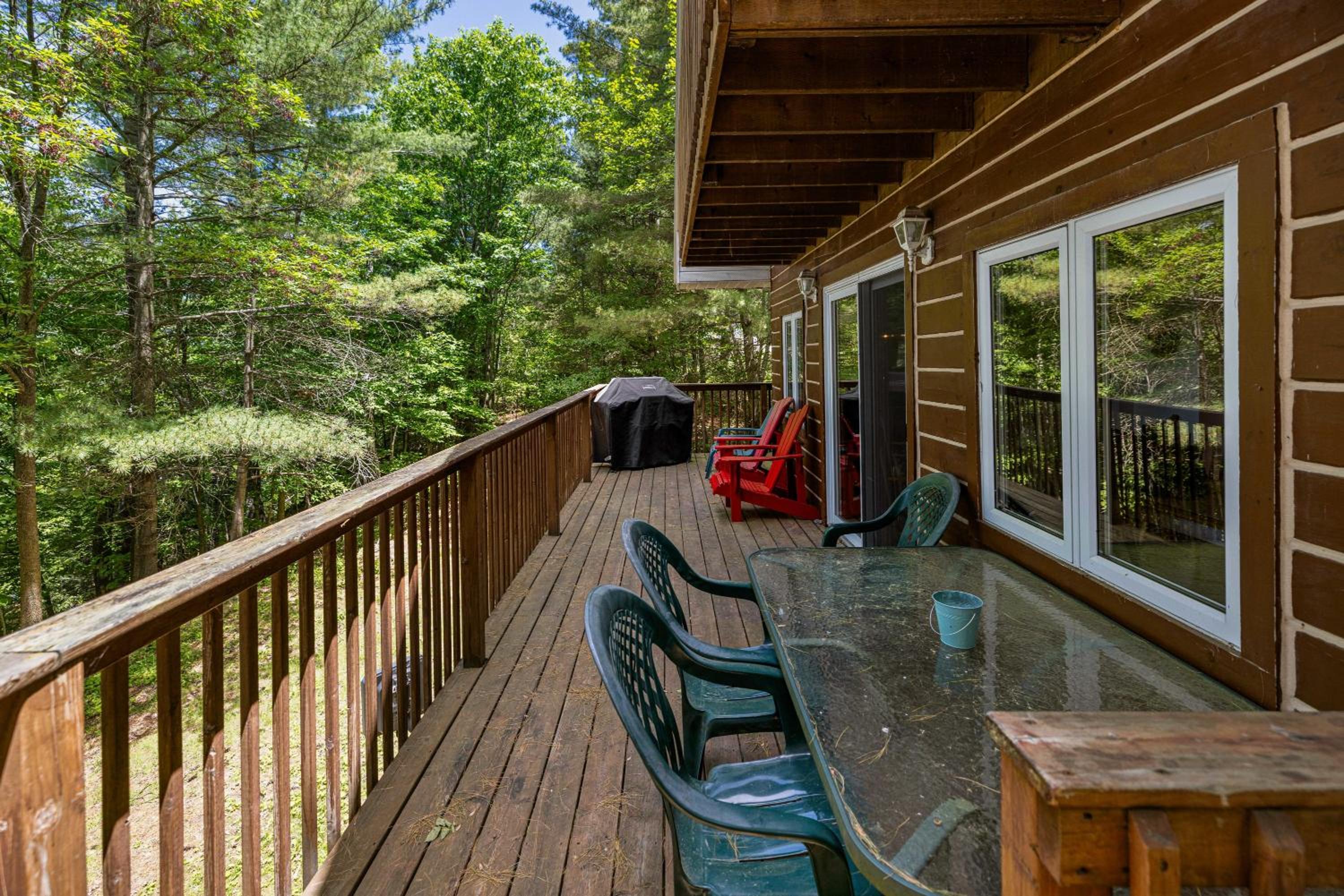 Secluded and beautiful wooded waterfront retreat