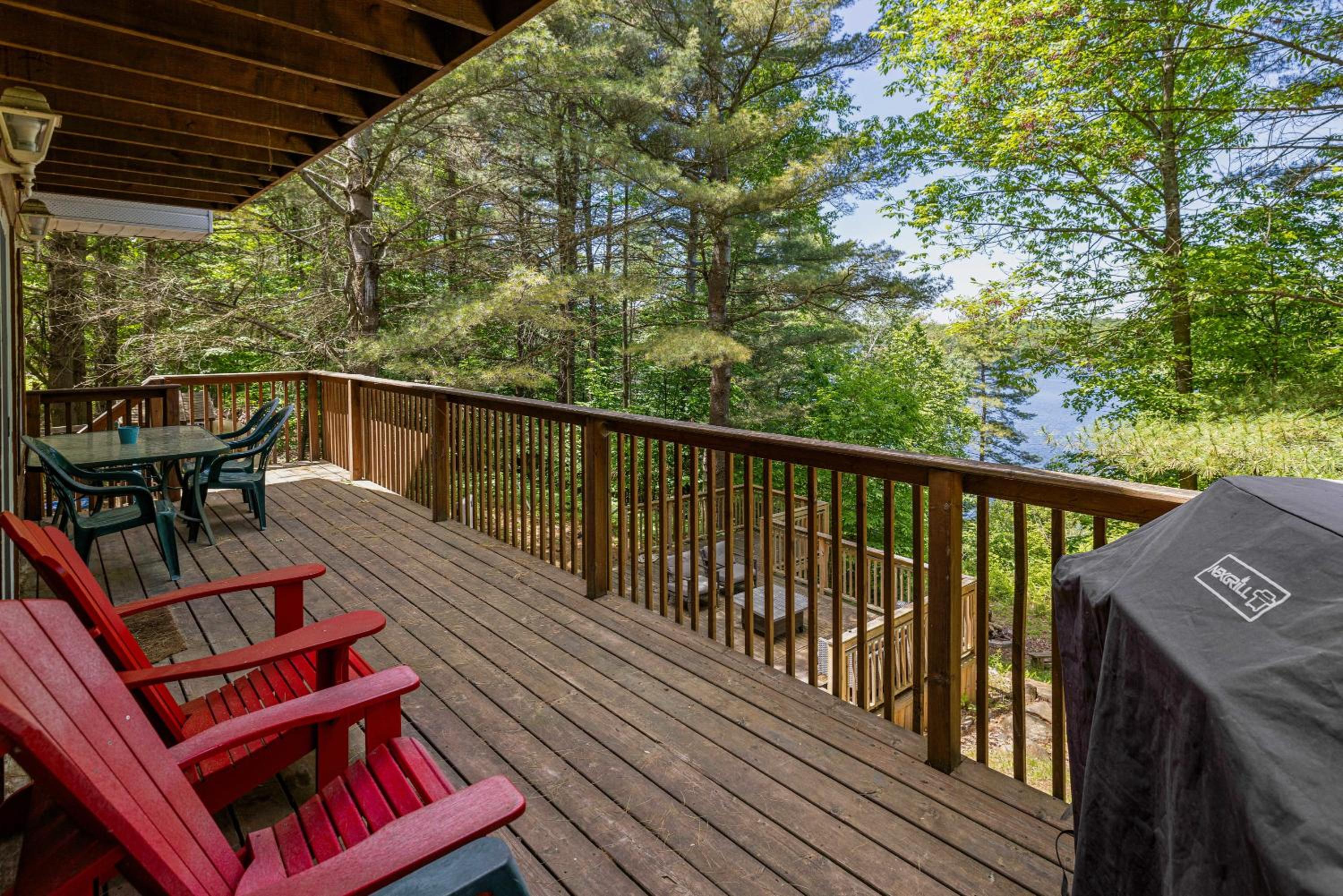 Secluded and beautiful wooded waterfront retreat