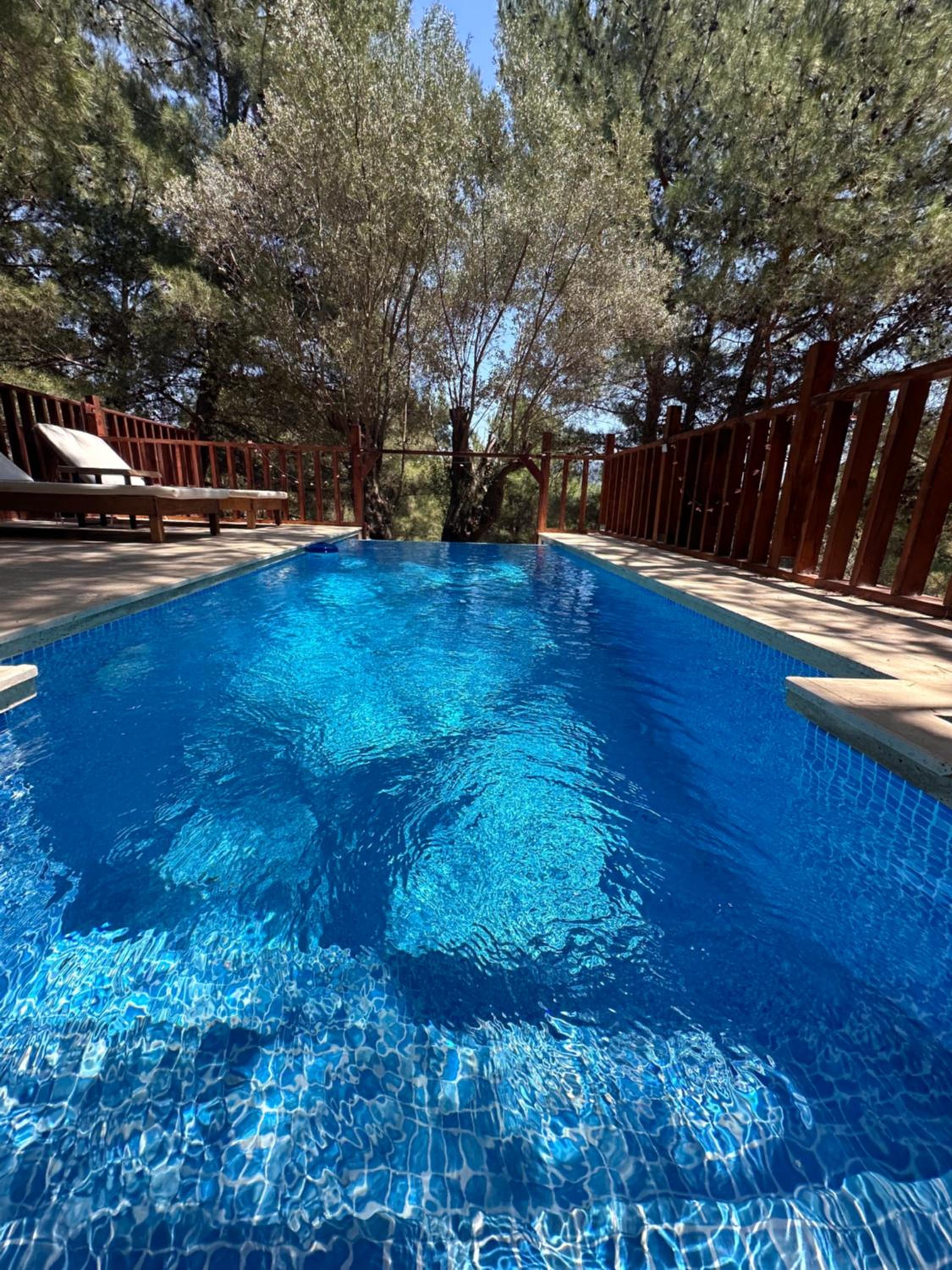 Panurla Ormanın İçinde, yüzme havuz&sauna view 2