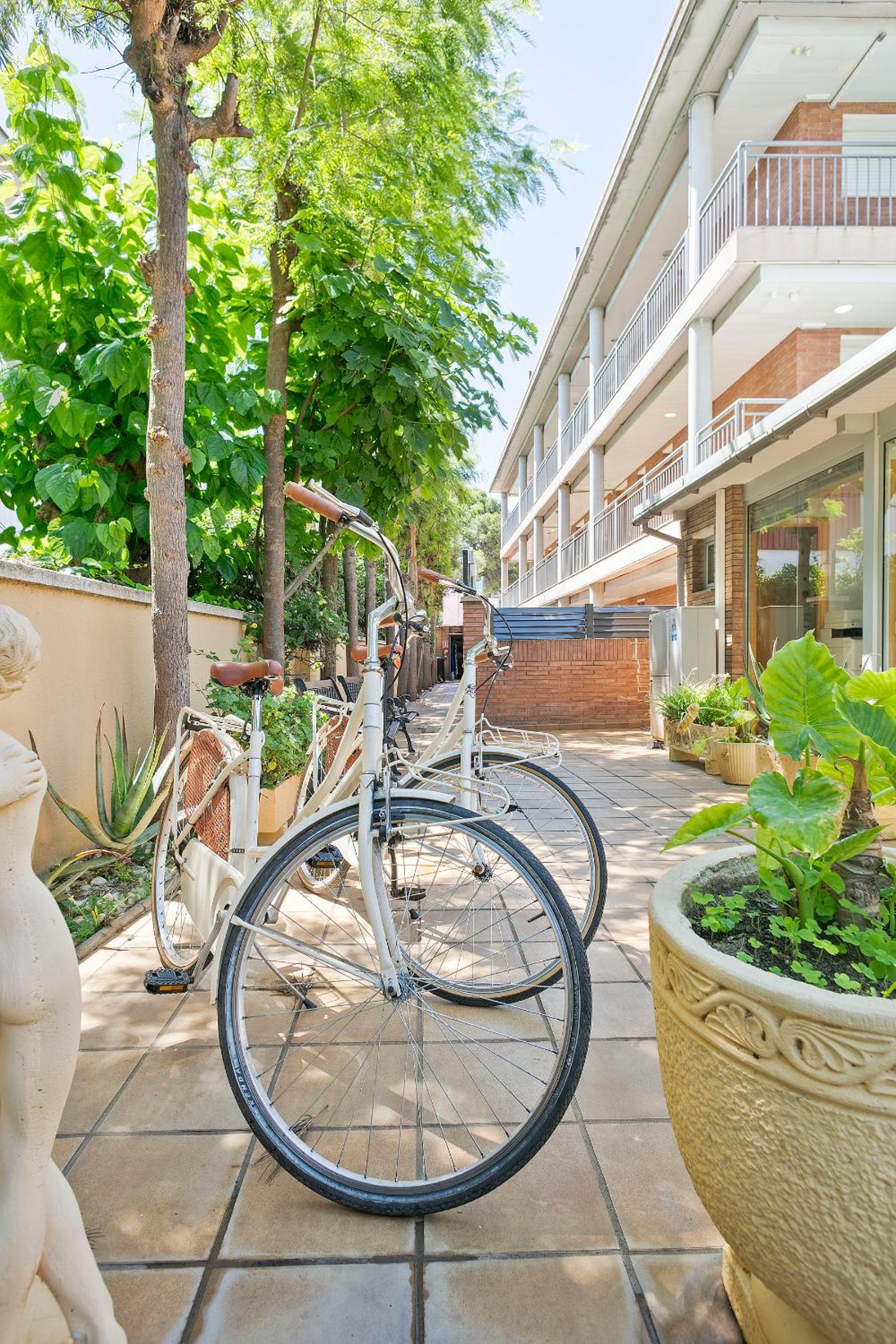 Apartamentos Velor