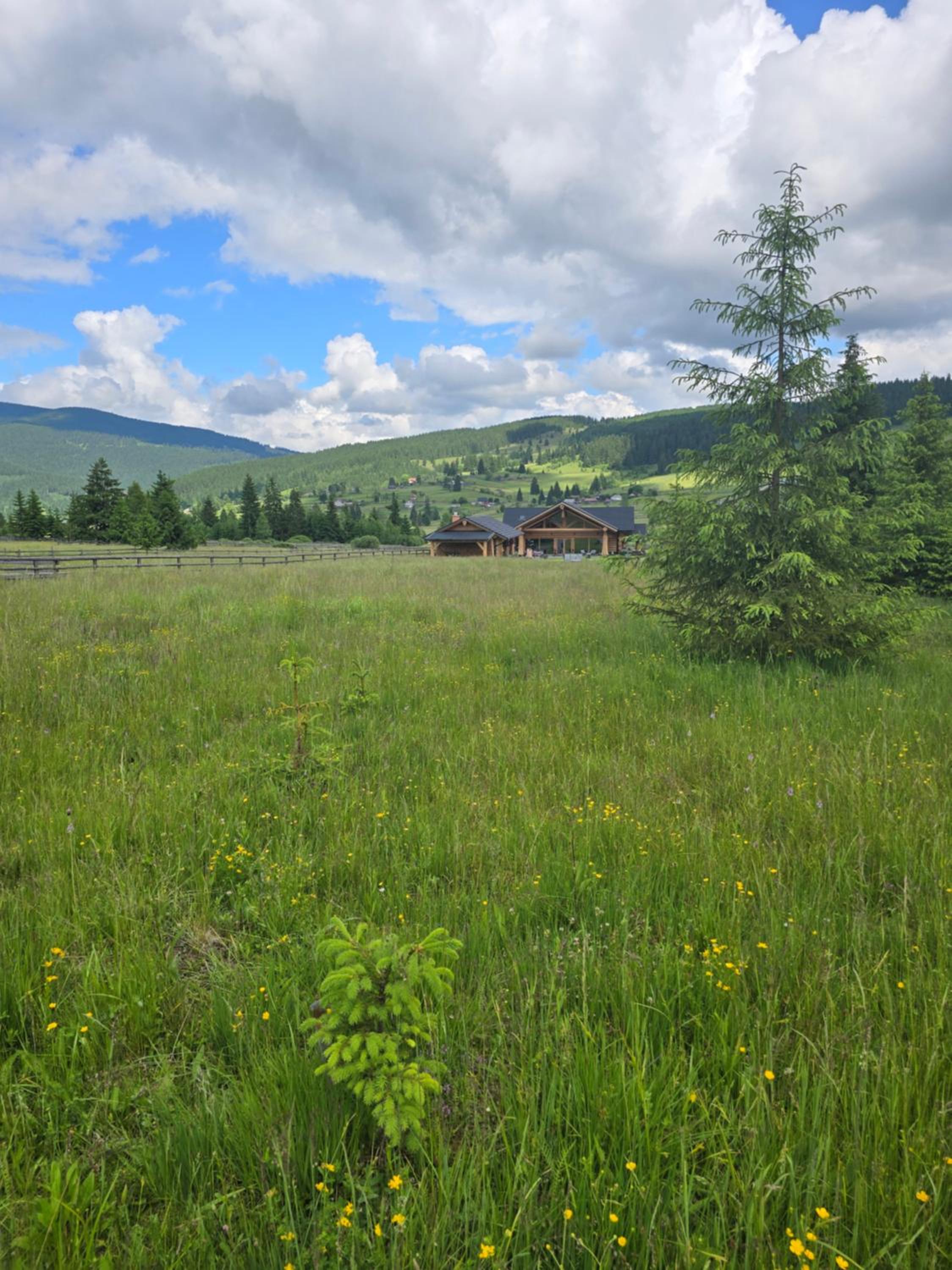 Bilbor Chalet view 5