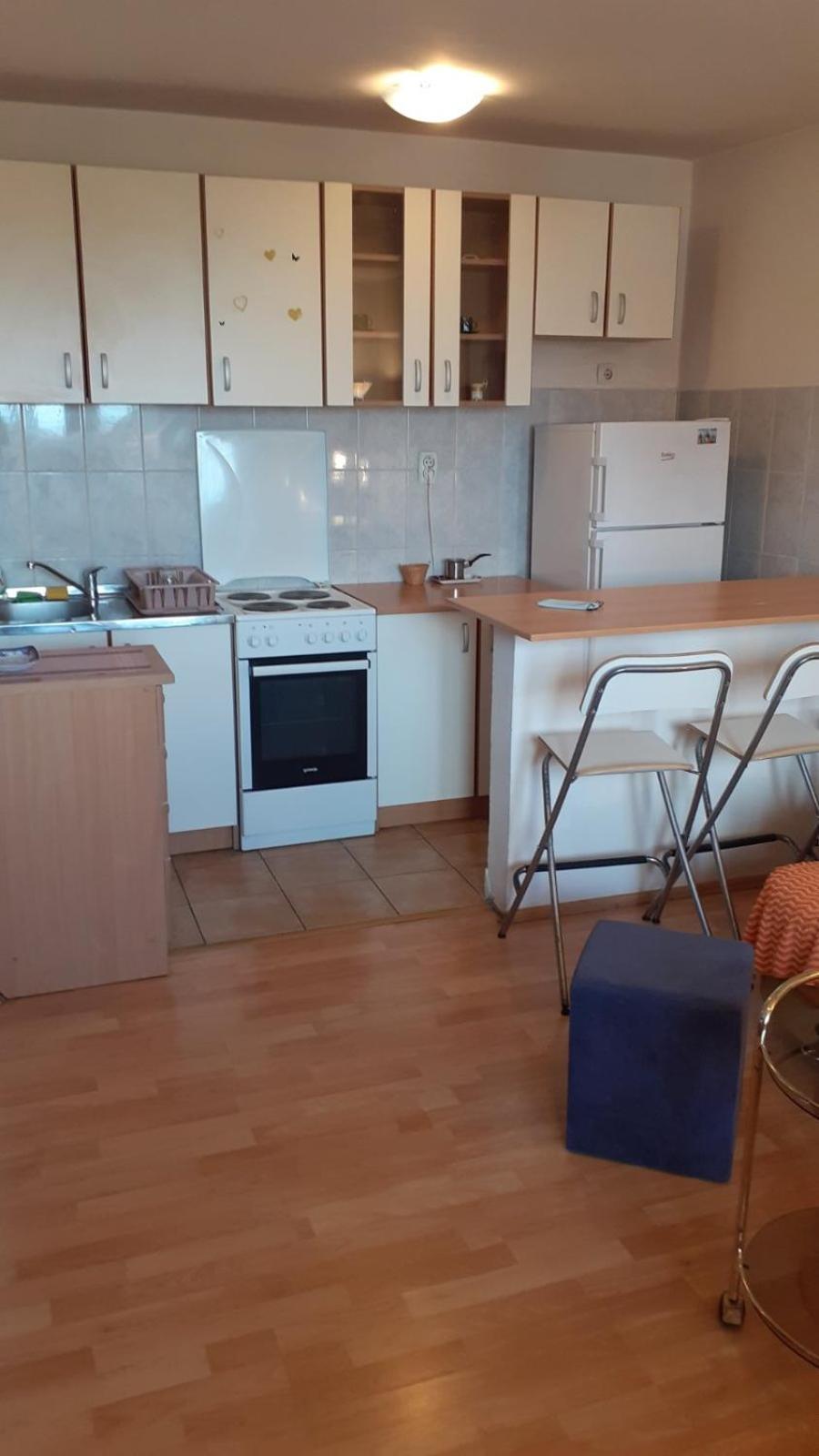Apartman u Višnjičkoj banji view 4