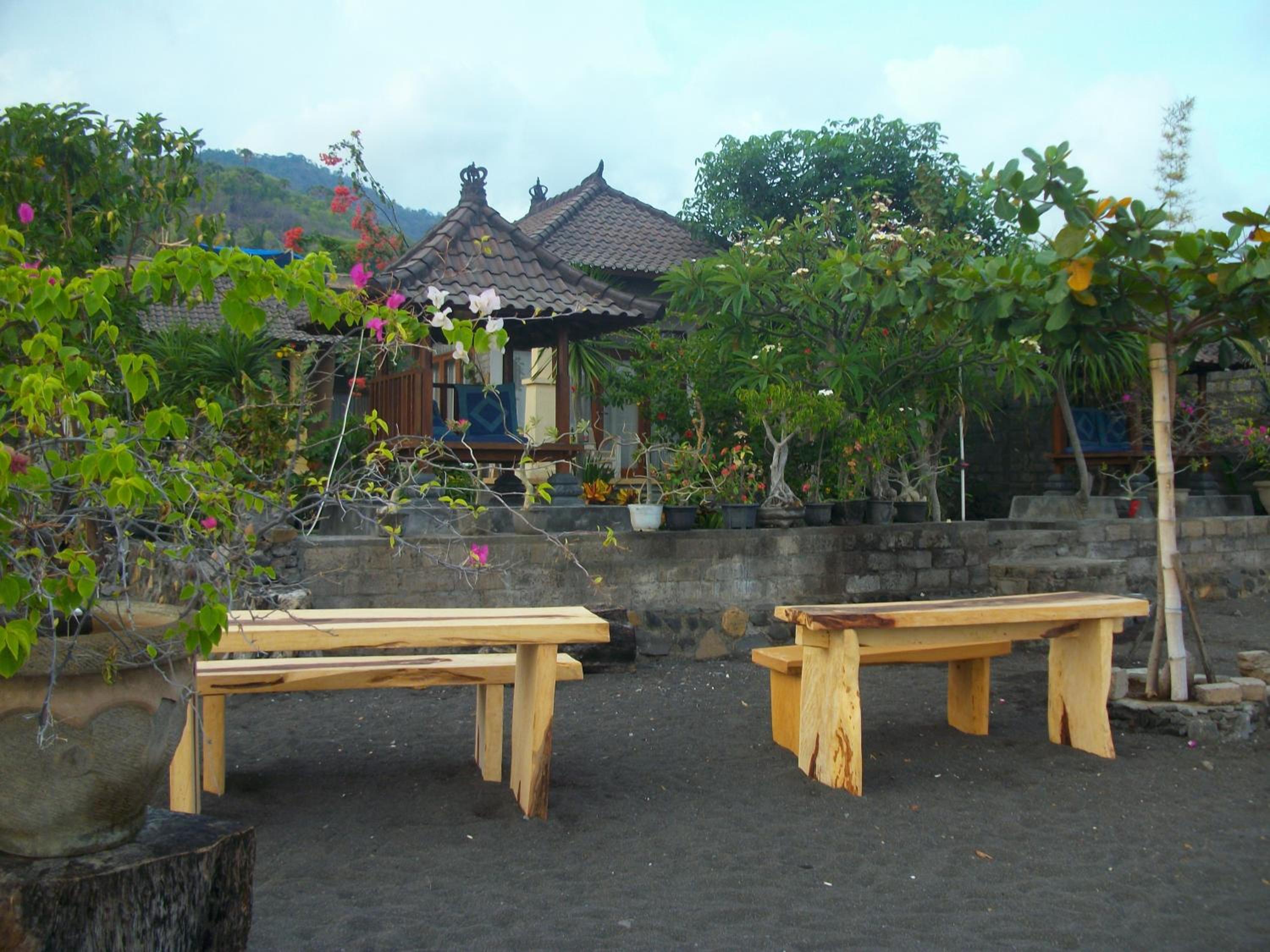 Photo 41