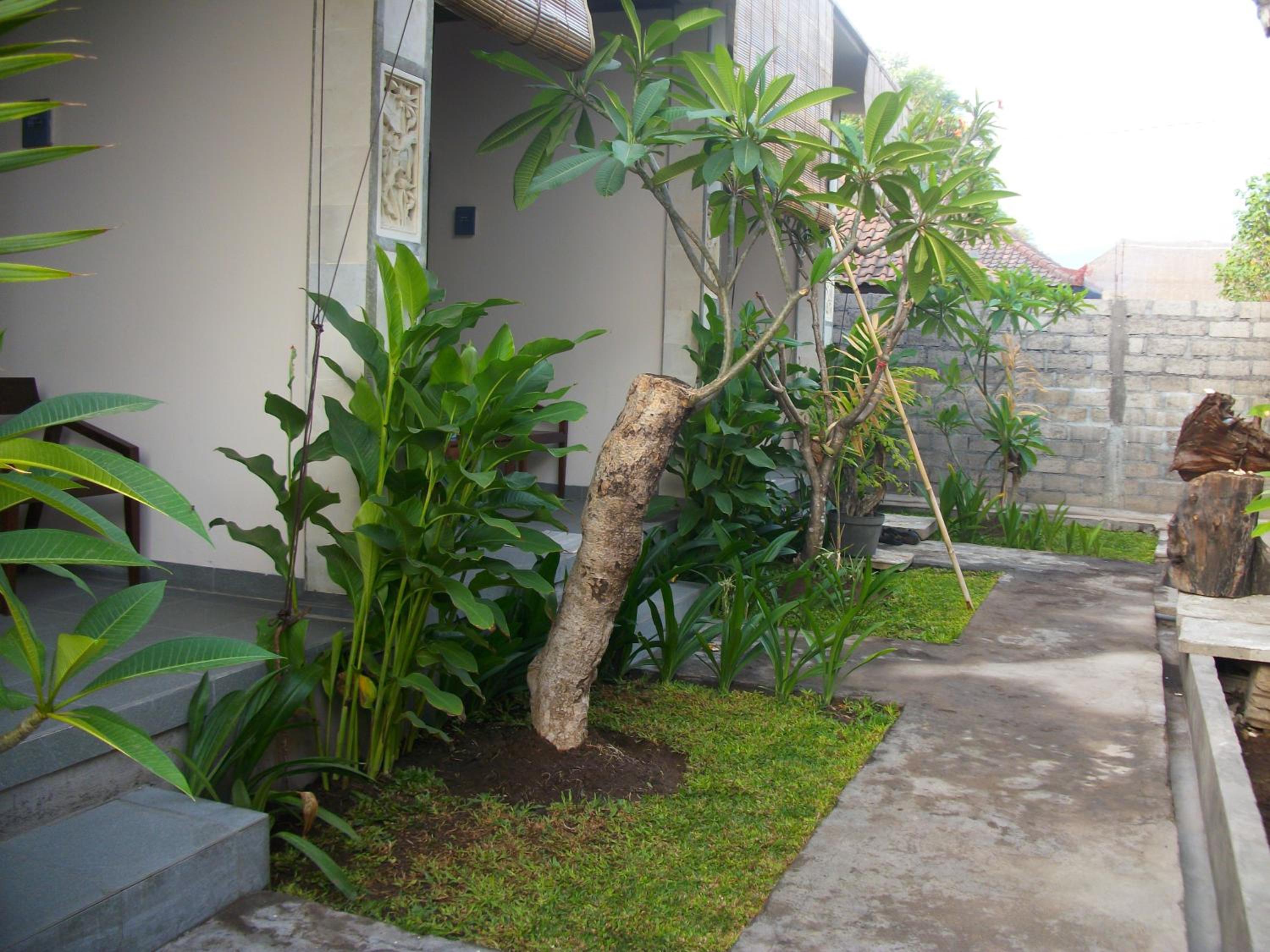 Photo 46