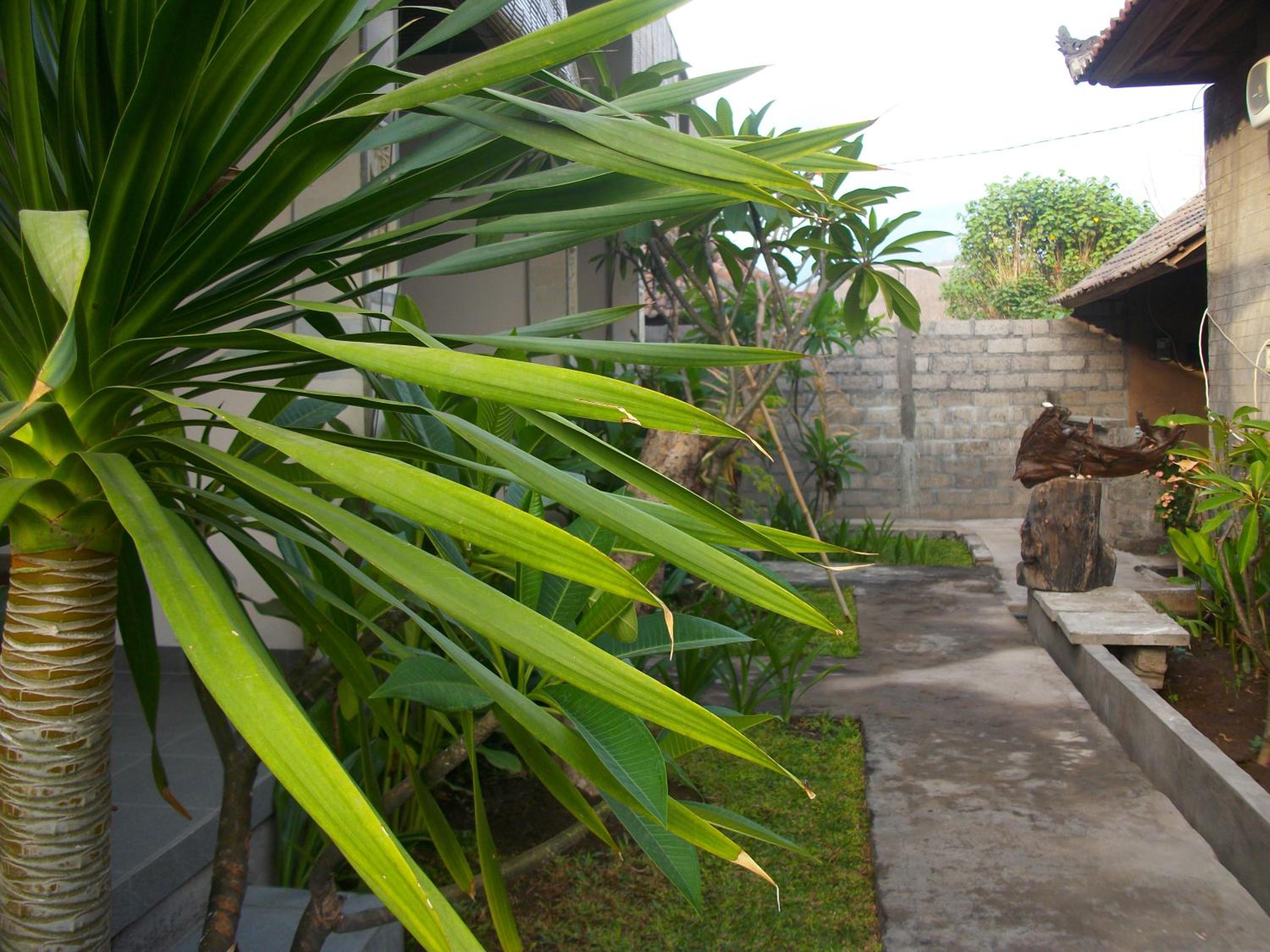 Photo 49