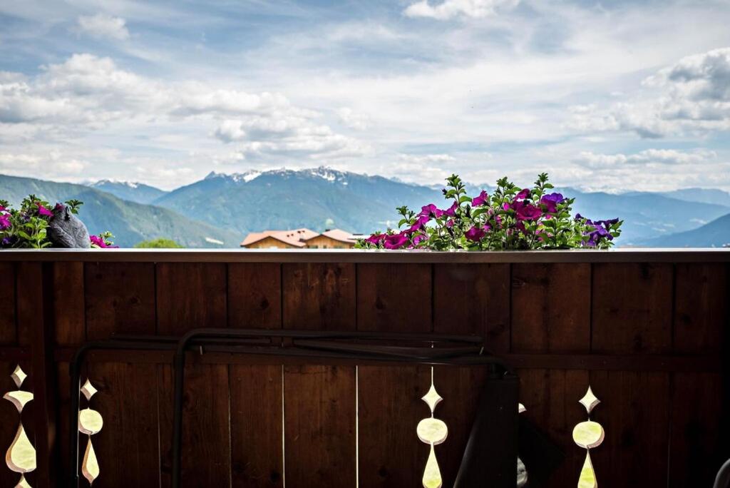 Residence Condor view 4
