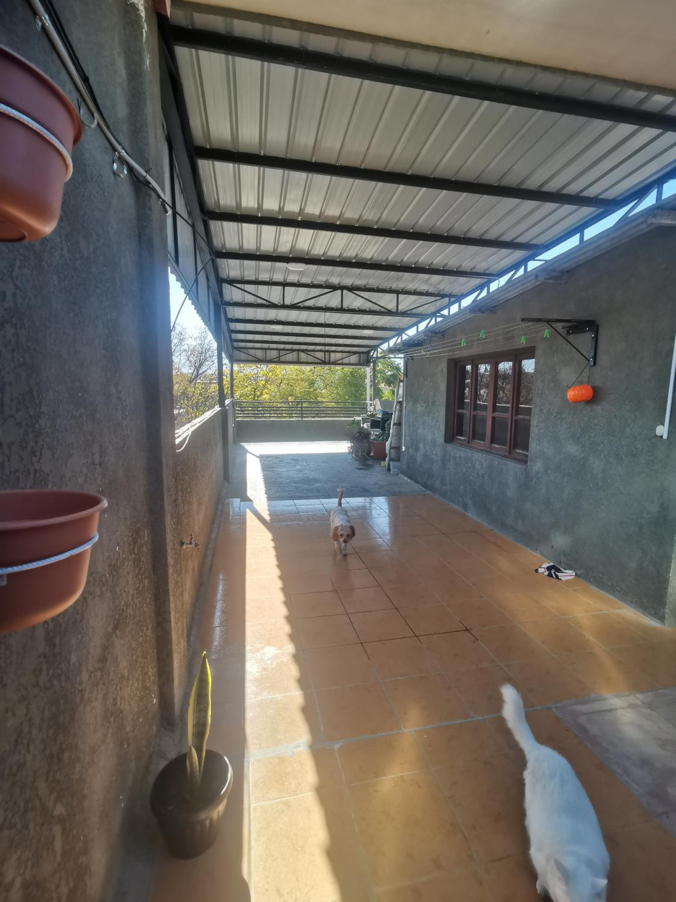 El Depa de Saulo