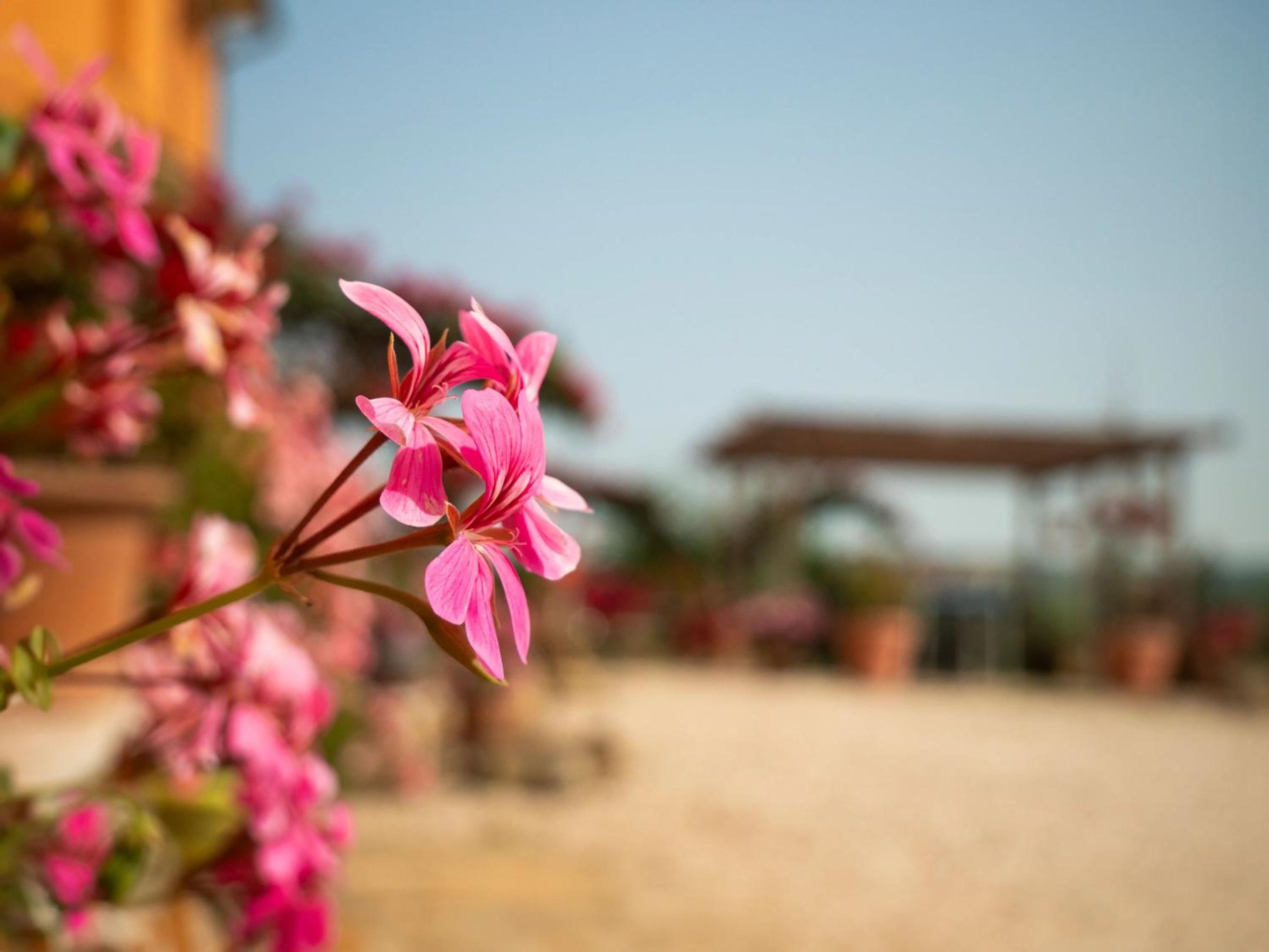 B&B Aesis La Dolce Collina photo 5