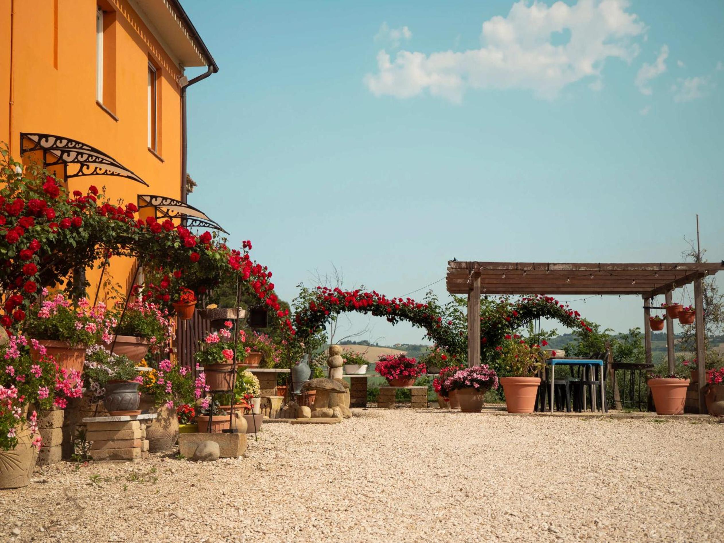 B&B Aesis La Dolce Collina photo 3