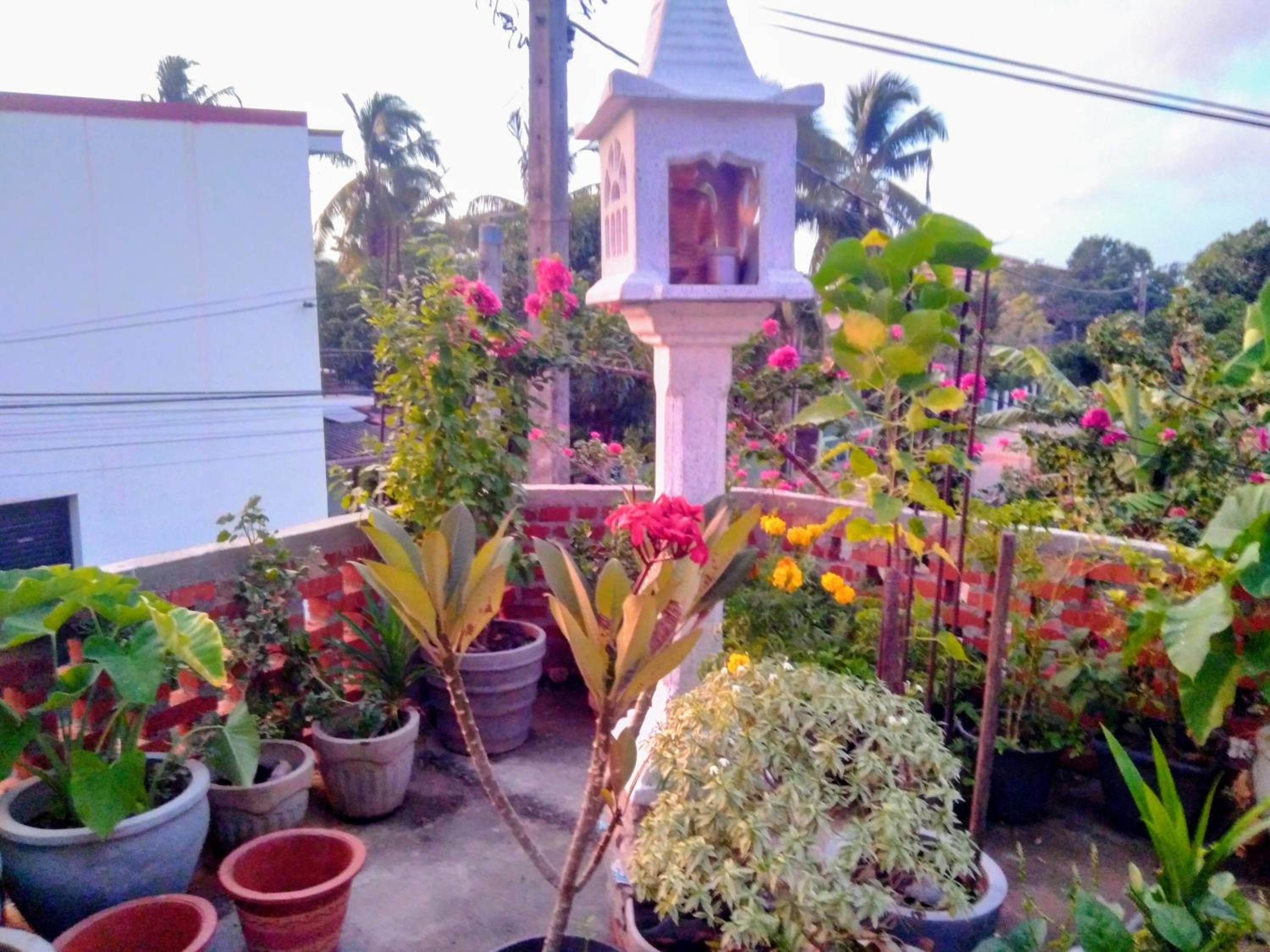 House Of Esanya