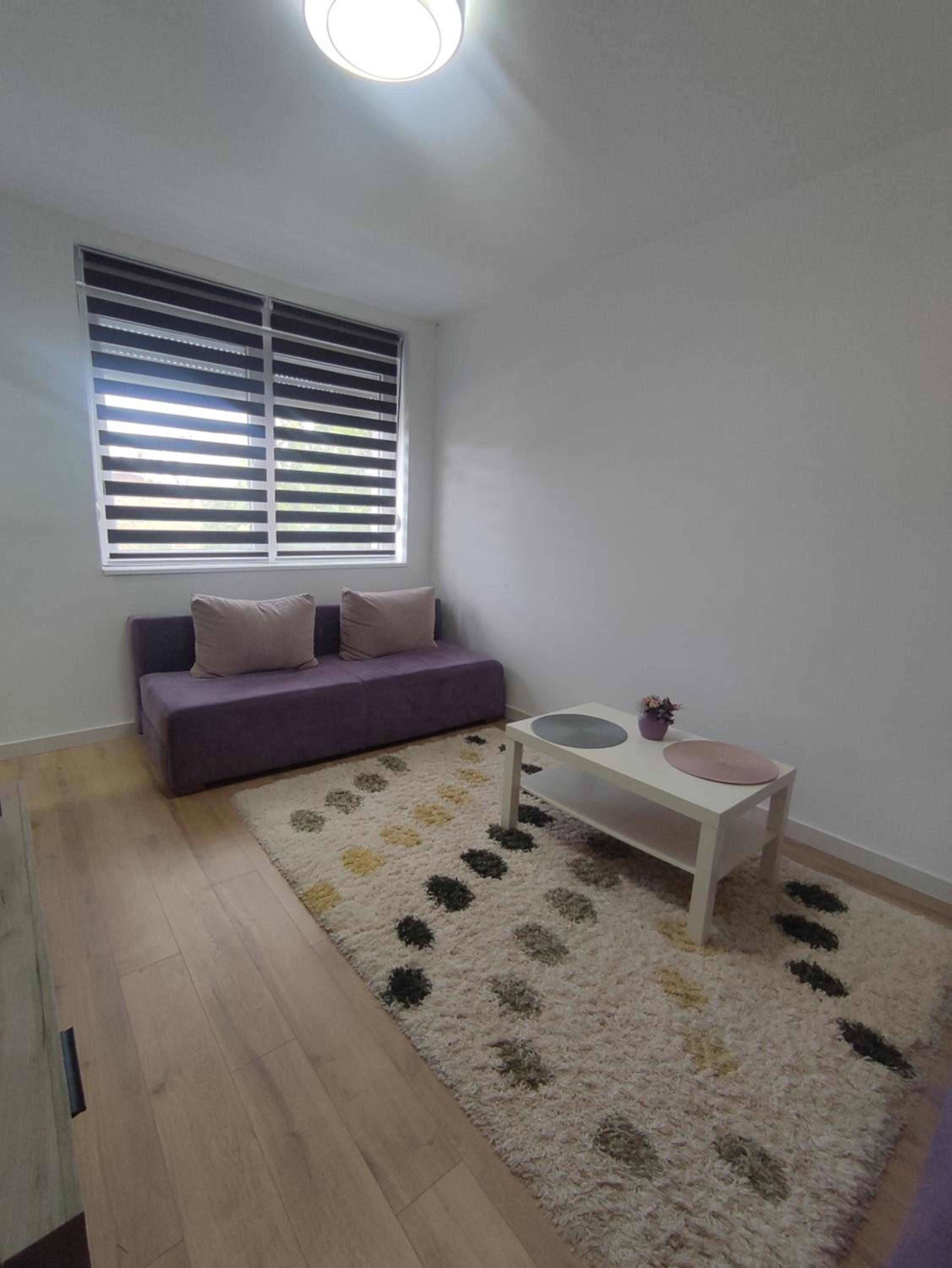 Pesacka Zona Apartment view 5