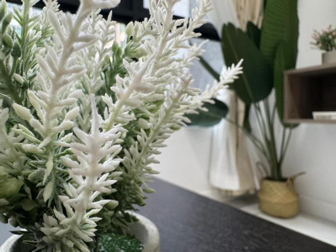 Cubic Botanical Bangsar South Kuala Lumpur