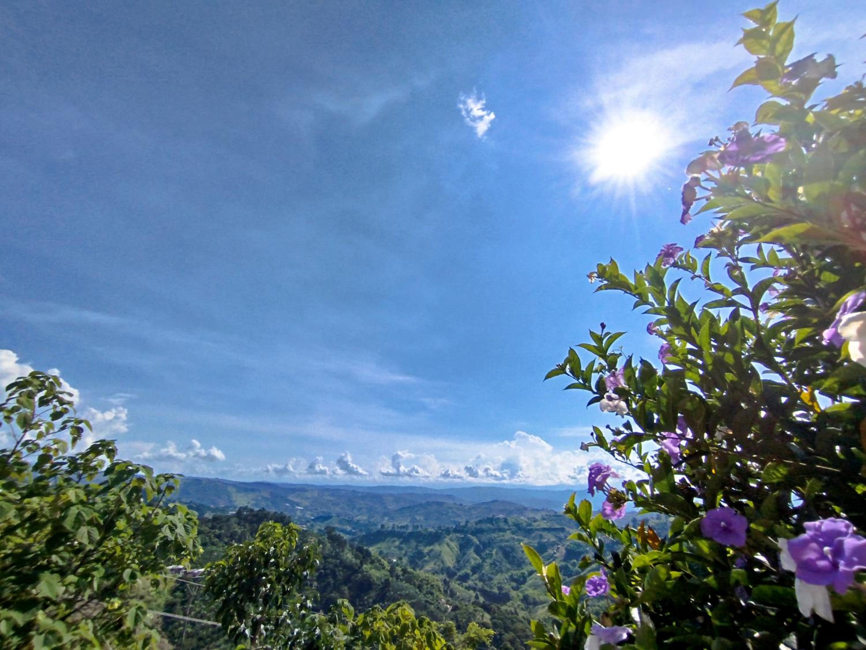 Mountain View Finca Campestre