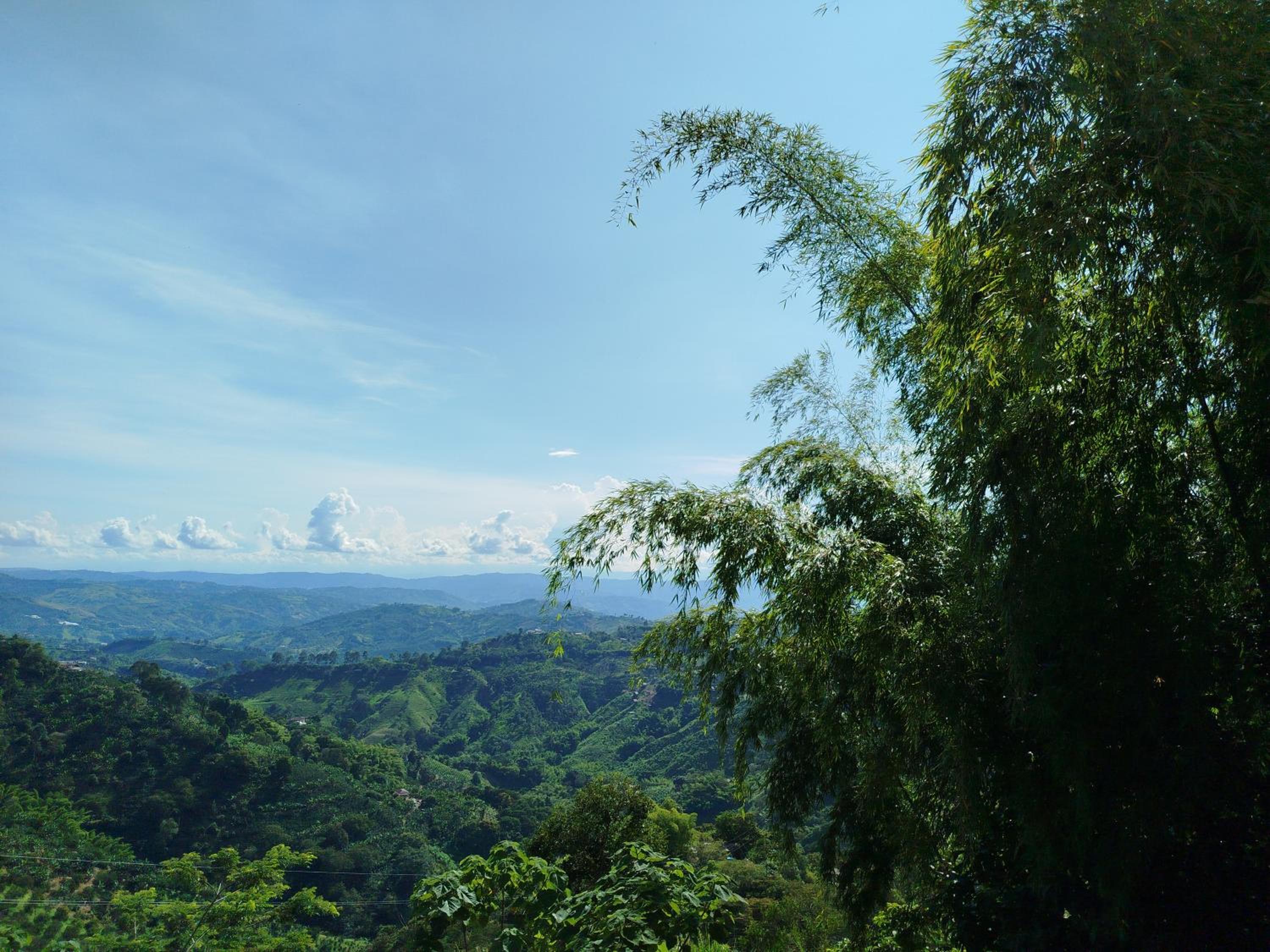 Mountain View Finca Campestre