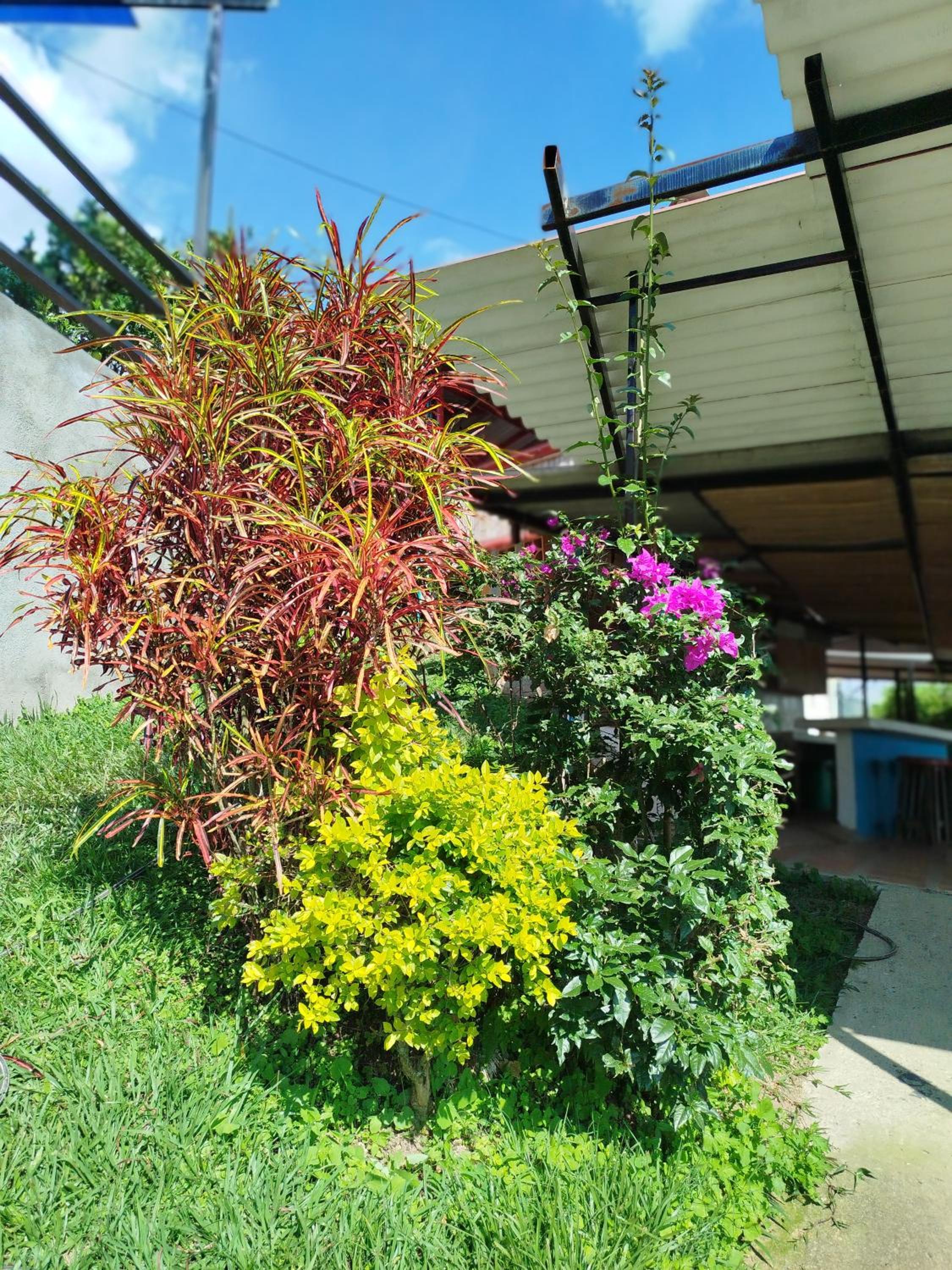 Mountain View Finca Campestre