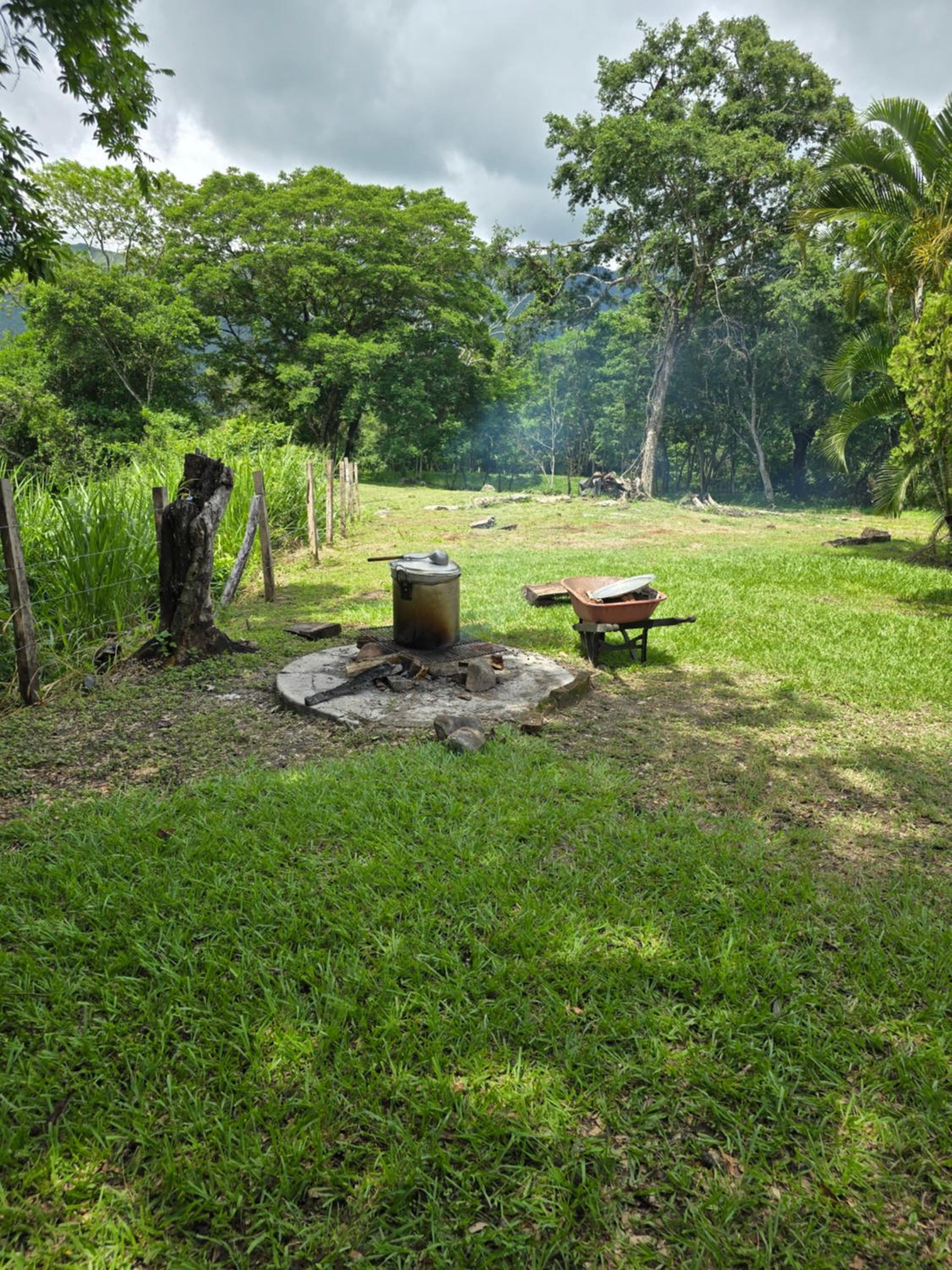 Llanitos de Aurora