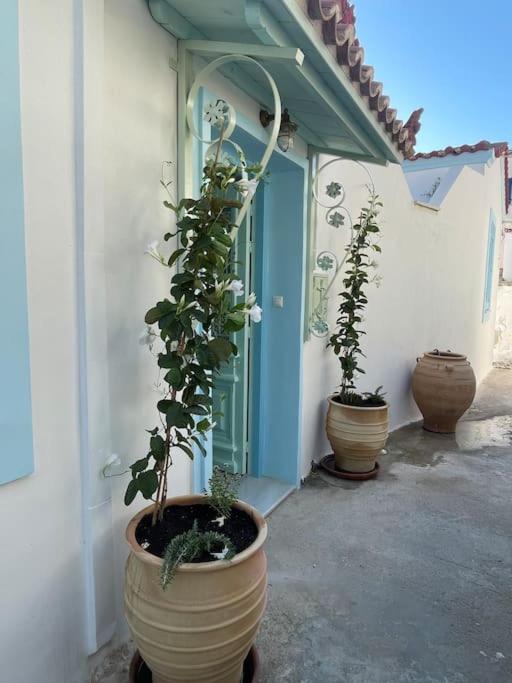 The Captains Residence photo 2