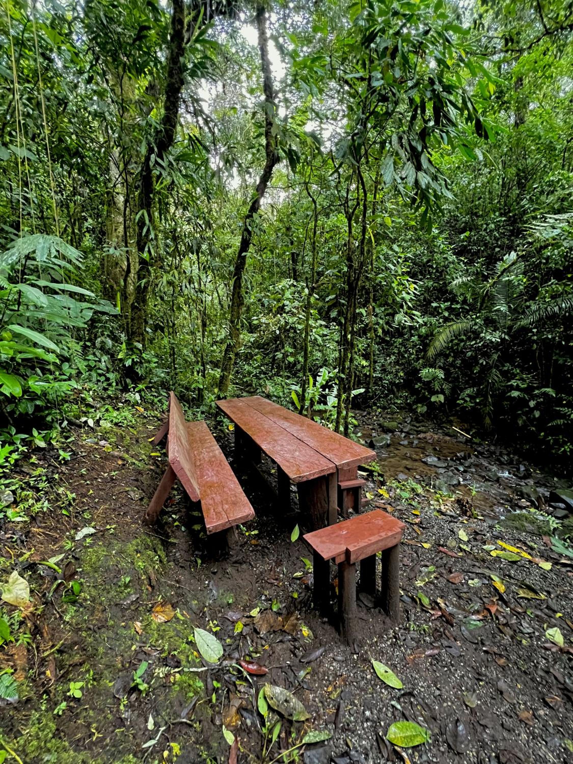 Casa campestre en el Eje Cafetero