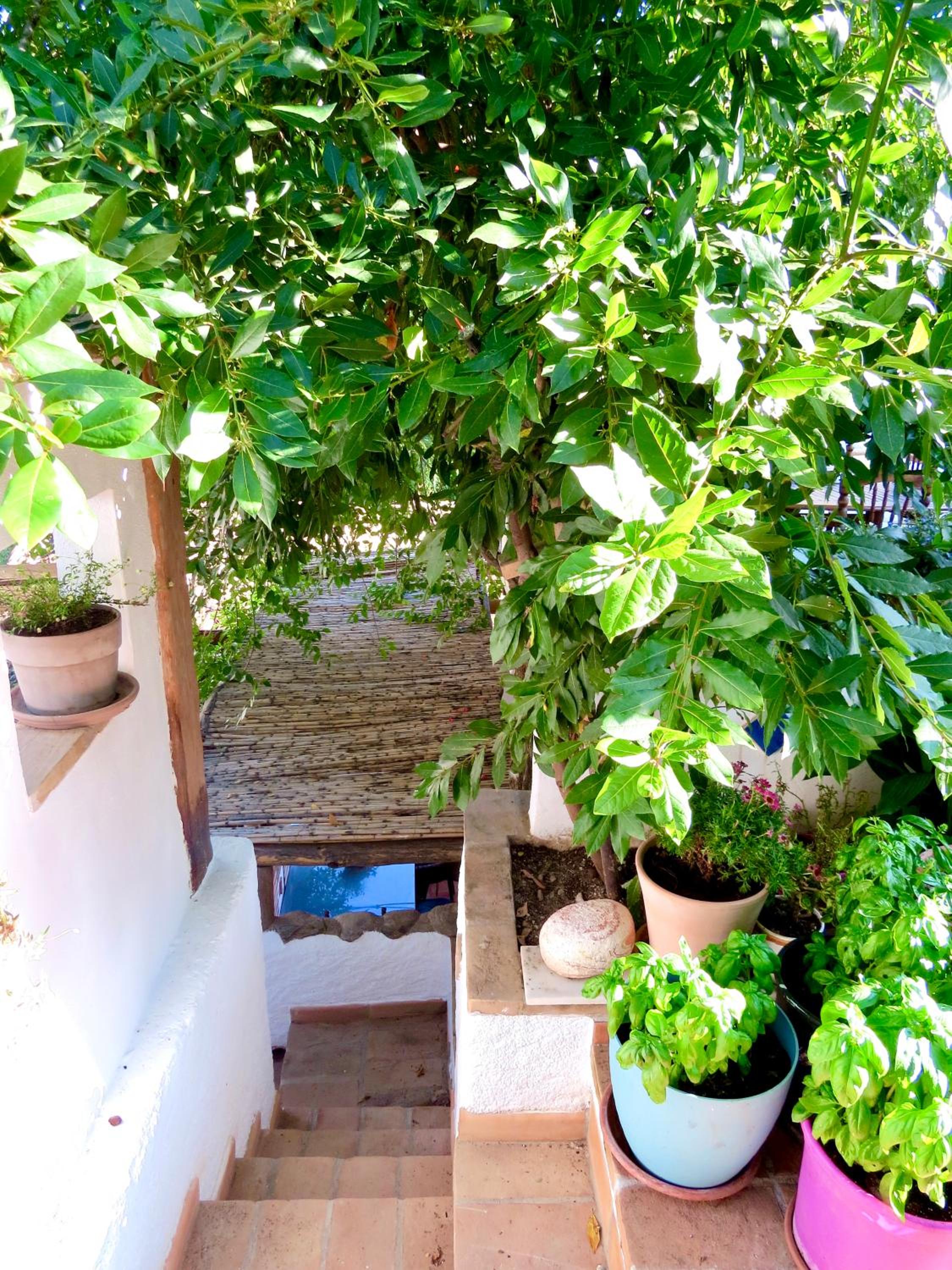 El Encanto