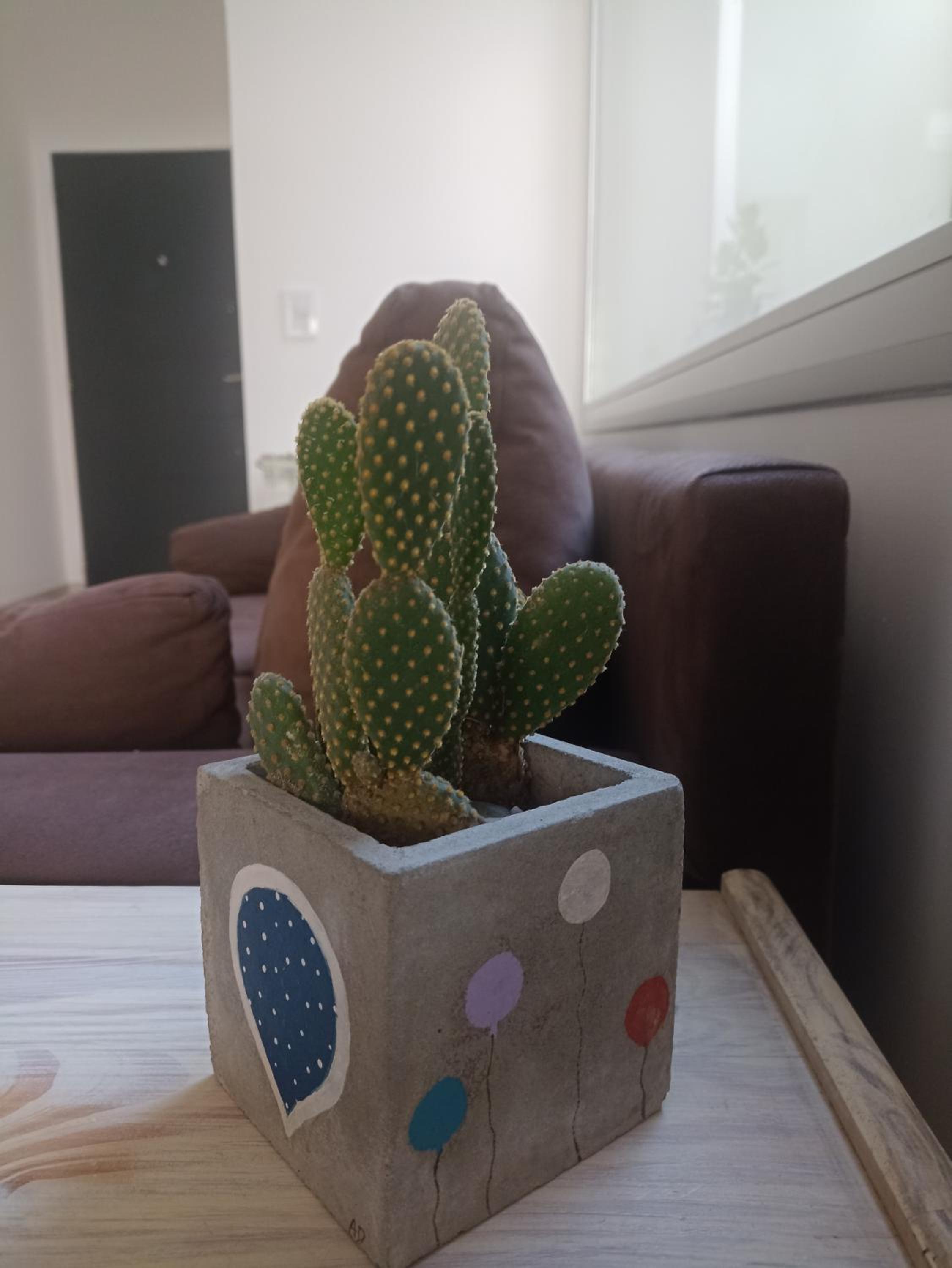 Duplex Victoria