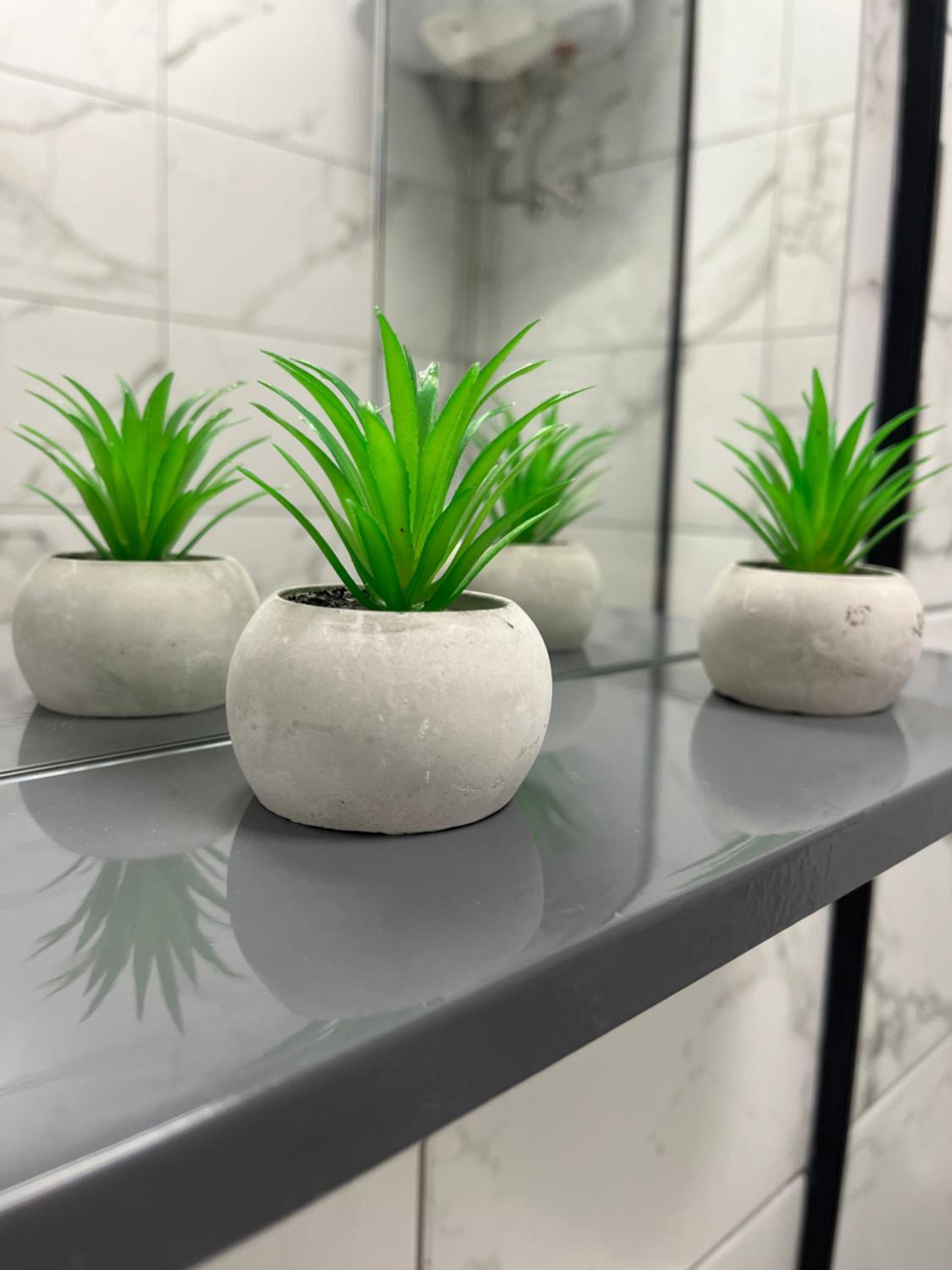 Central Botanic Apartment