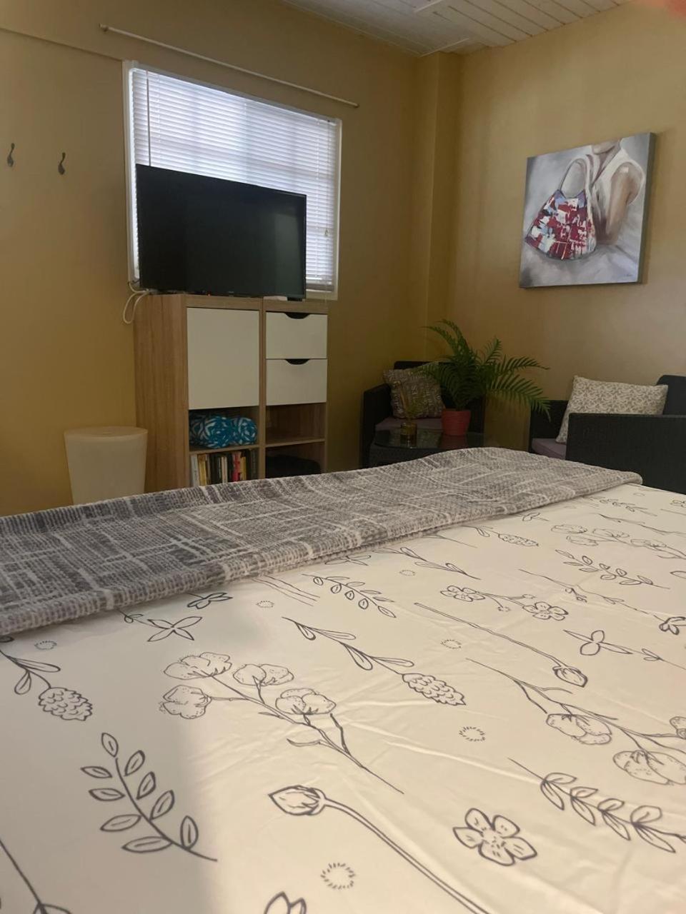 Palmhouse Aruba 1-2 persons