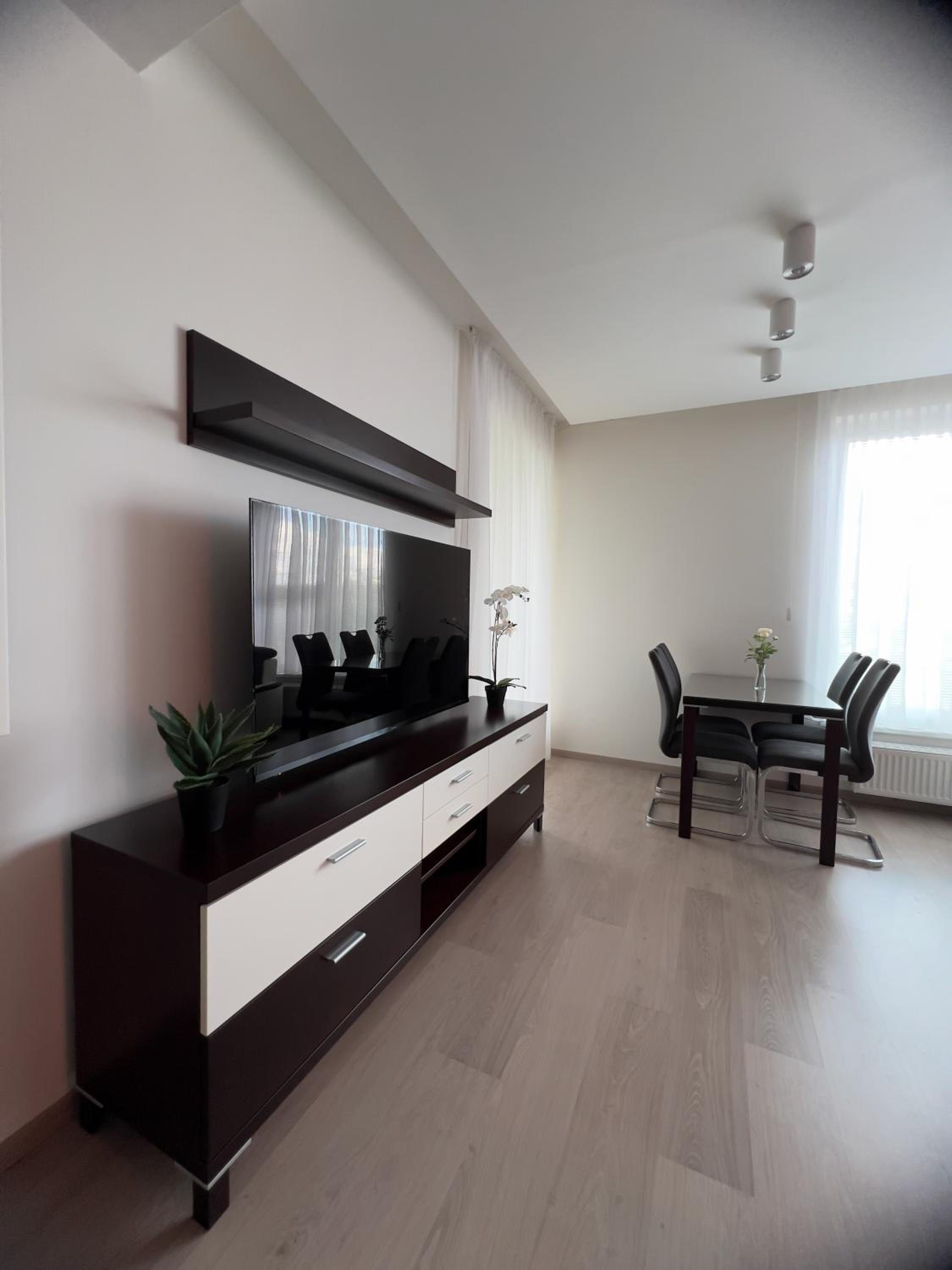 BNB New Beautiful Apartment in the Center of Ostrava with option Garage Parking
