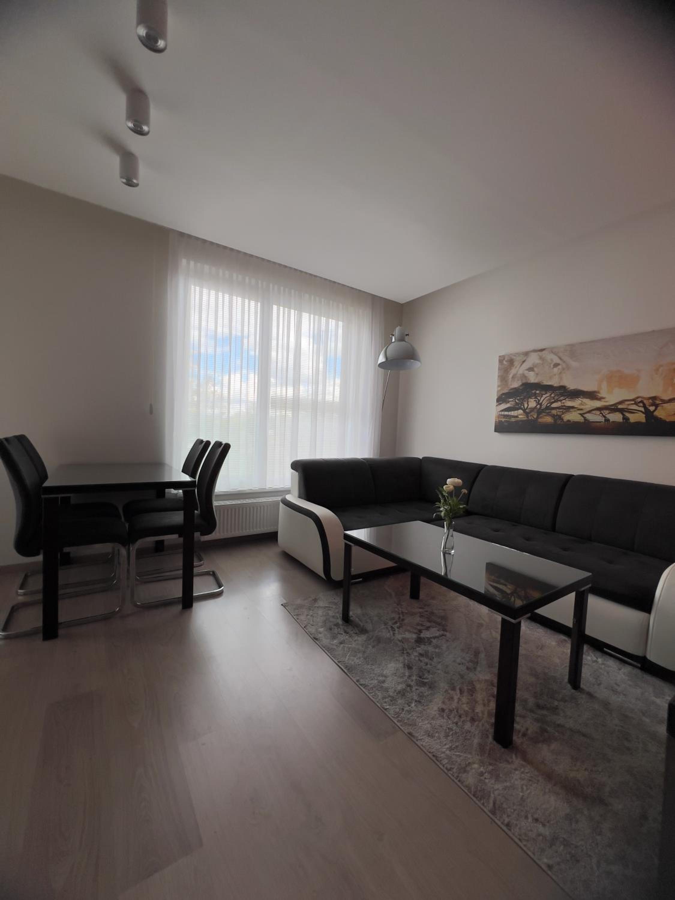 BNB New Beautiful Apartment in the Center of Ostrava with option Garage Parking