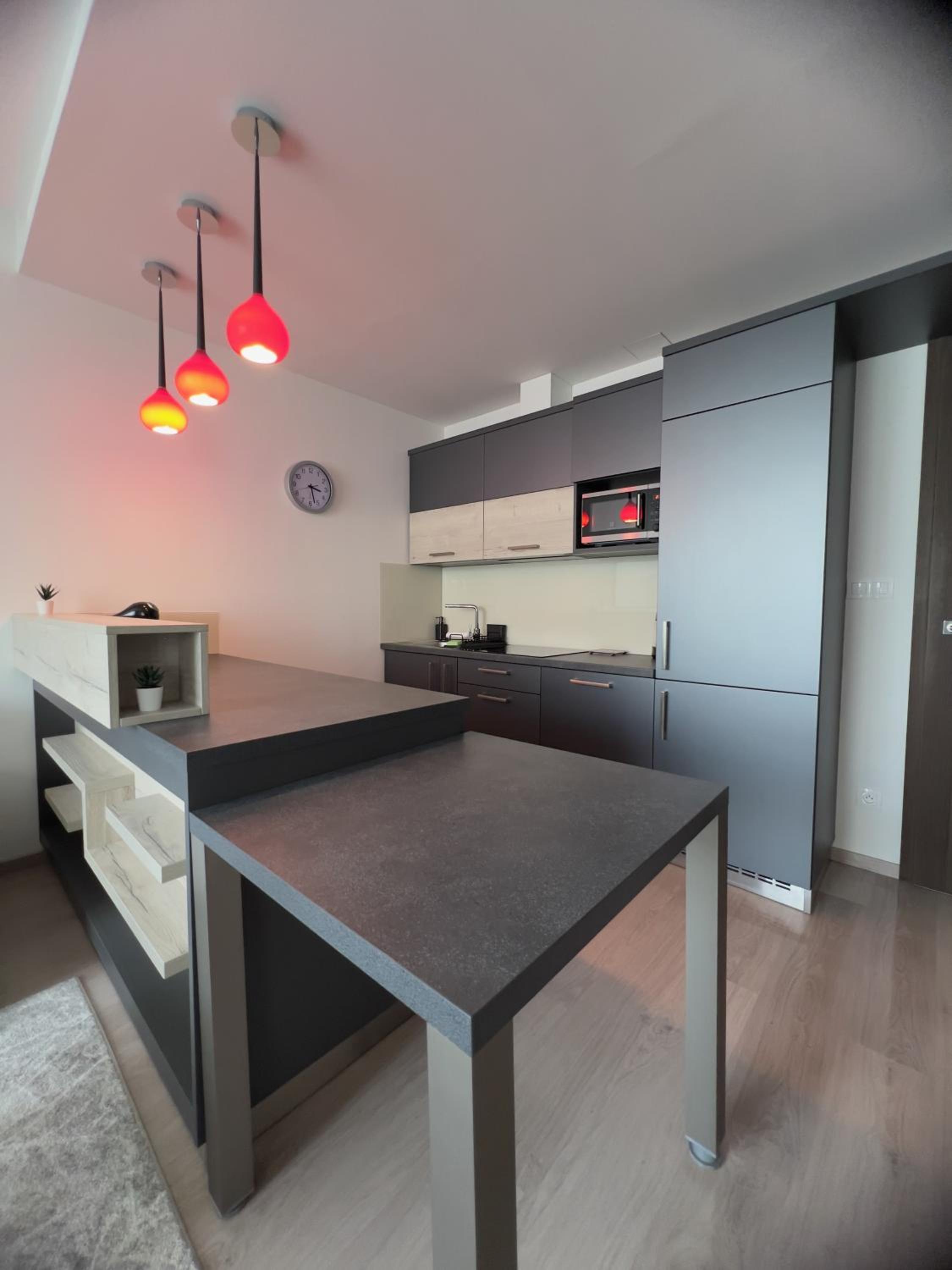 BNB New Beautiful Apartment in the Center of Ostrava with option Garage Parking