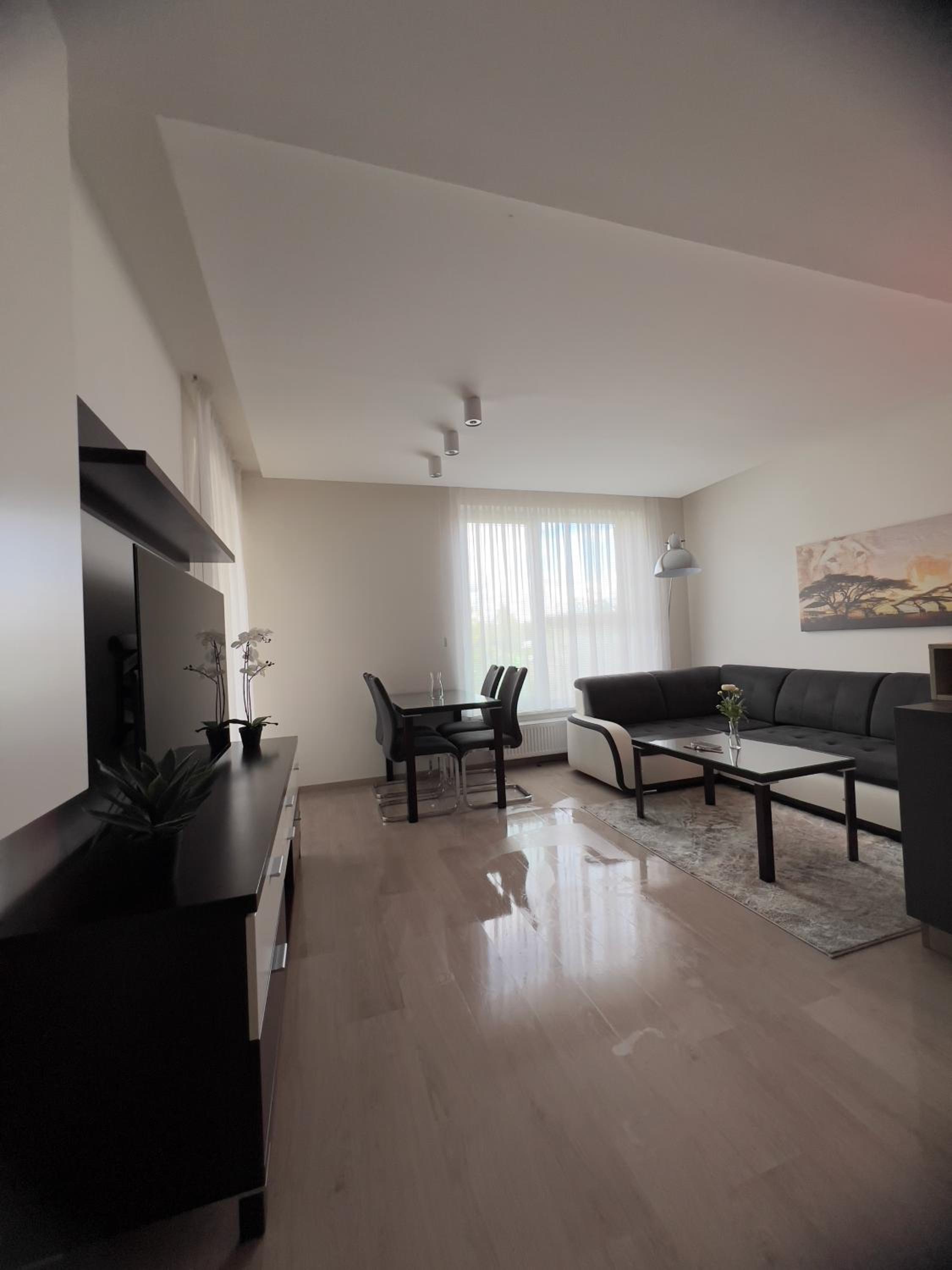 BNB New Beautiful Apartment in the Center of Ostrava with option Garage Parking