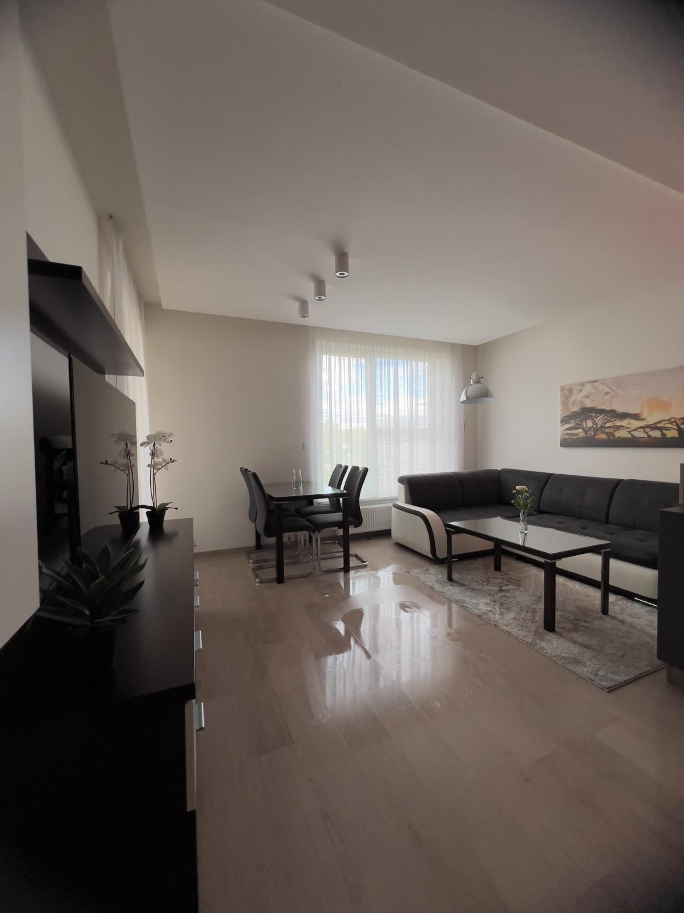 BNB New Beautiful Apartment in the Center of Ostrava with option Garage Parking