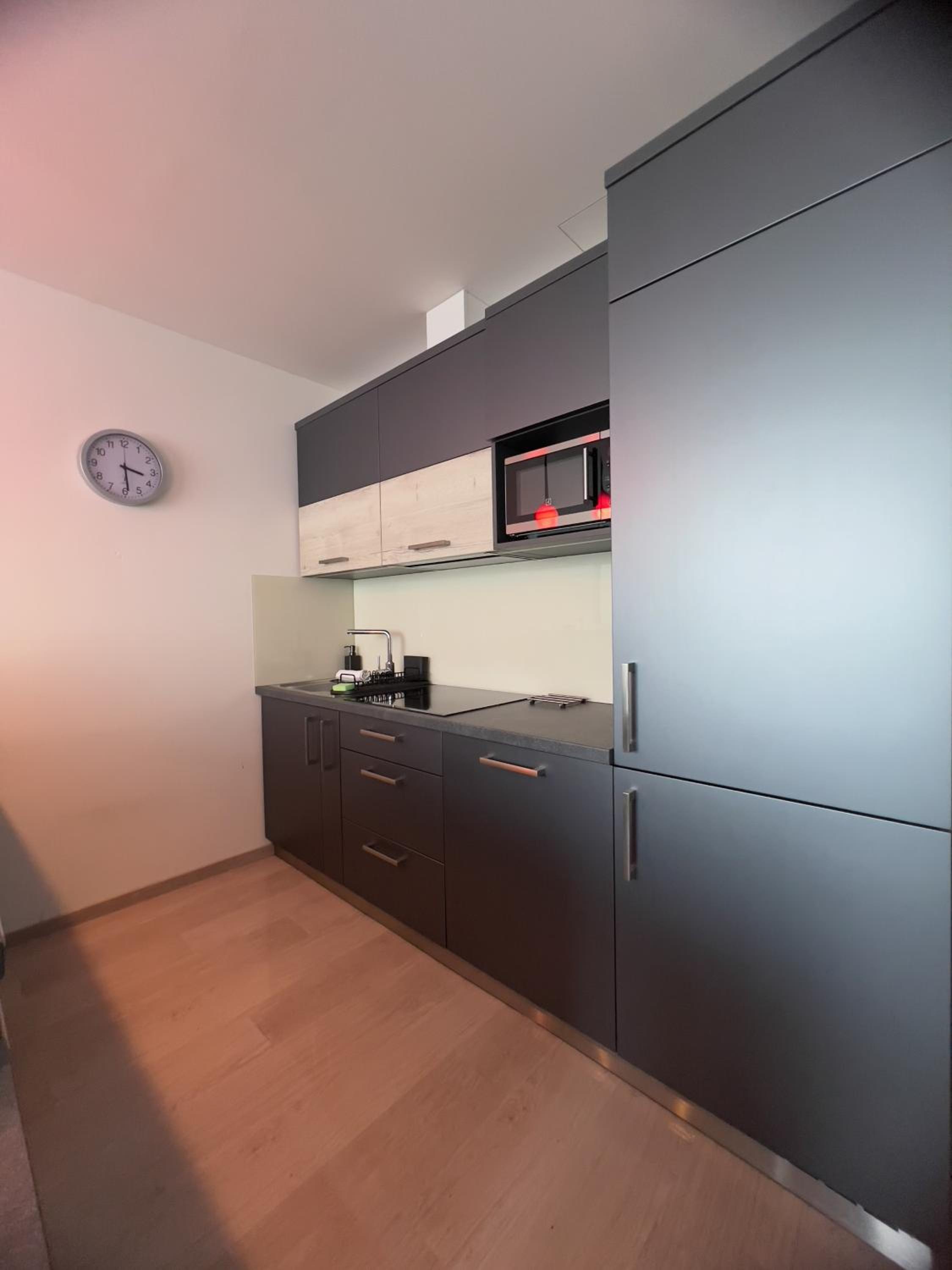 BNB New Beautiful Apartment in the Center of Ostrava with option Garage Parking