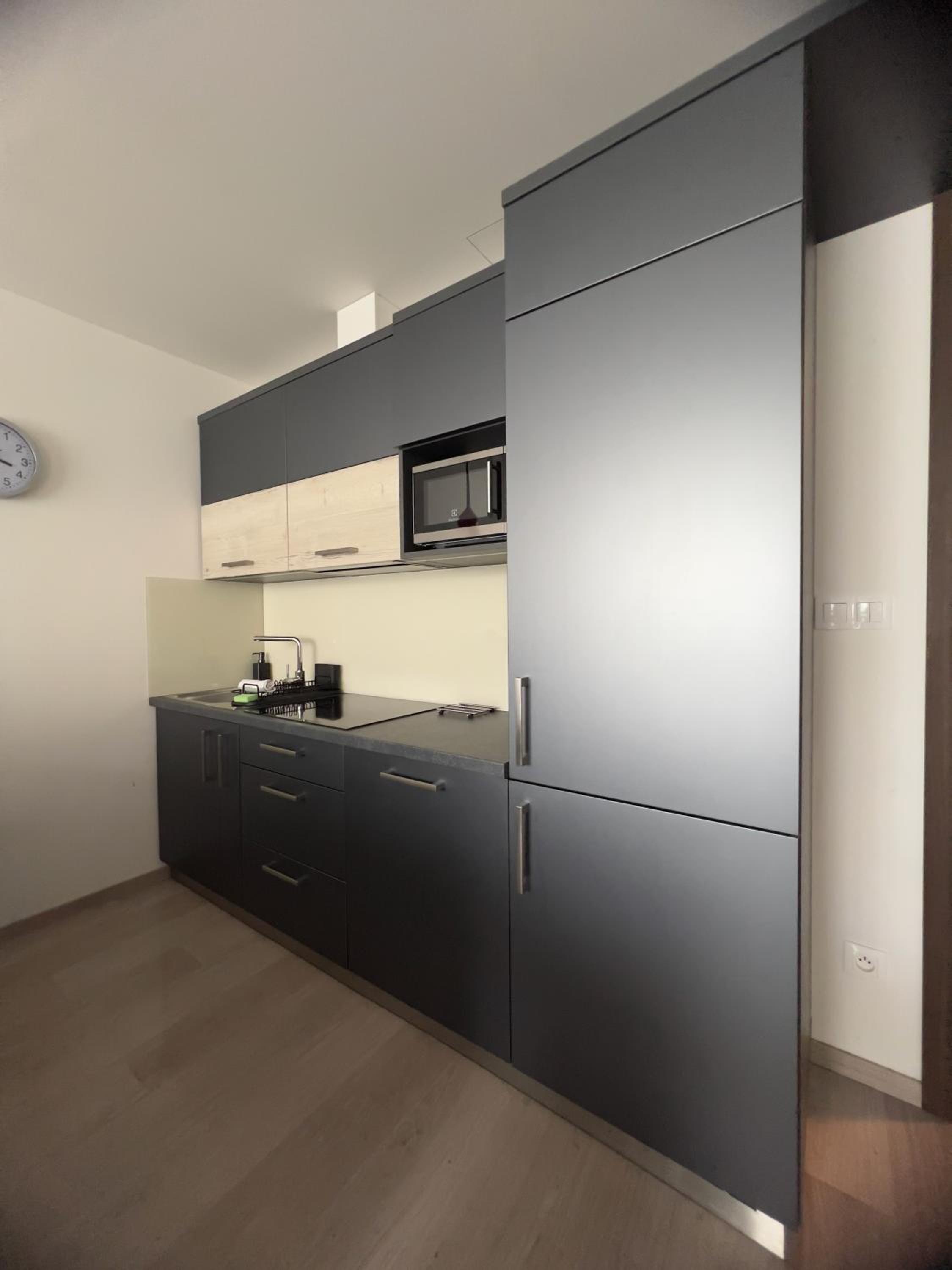 BNB New Beautiful Apartment in the Center of Ostrava with option Garage Parking