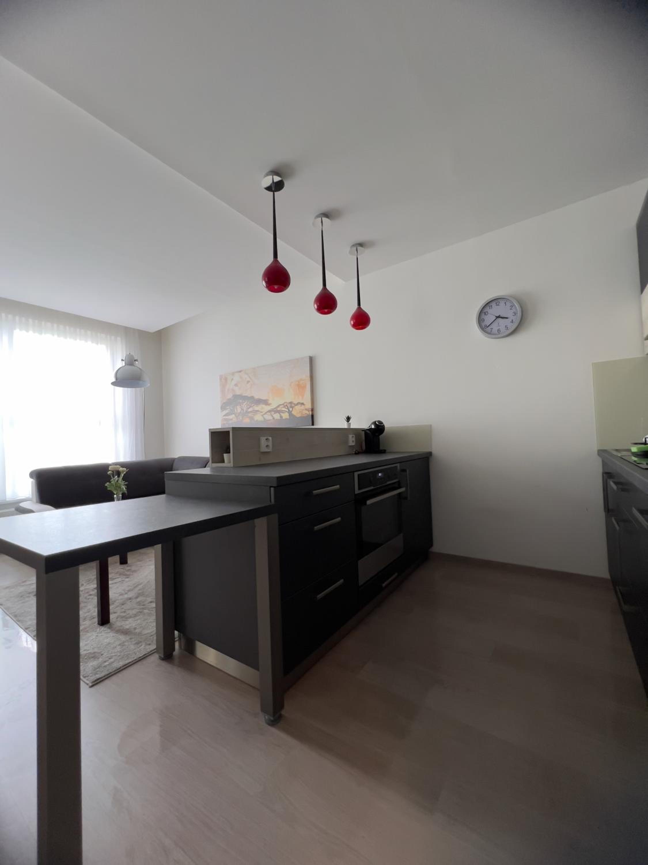 BNB New Beautiful Apartment in the Center of Ostrava with option Garage Parking