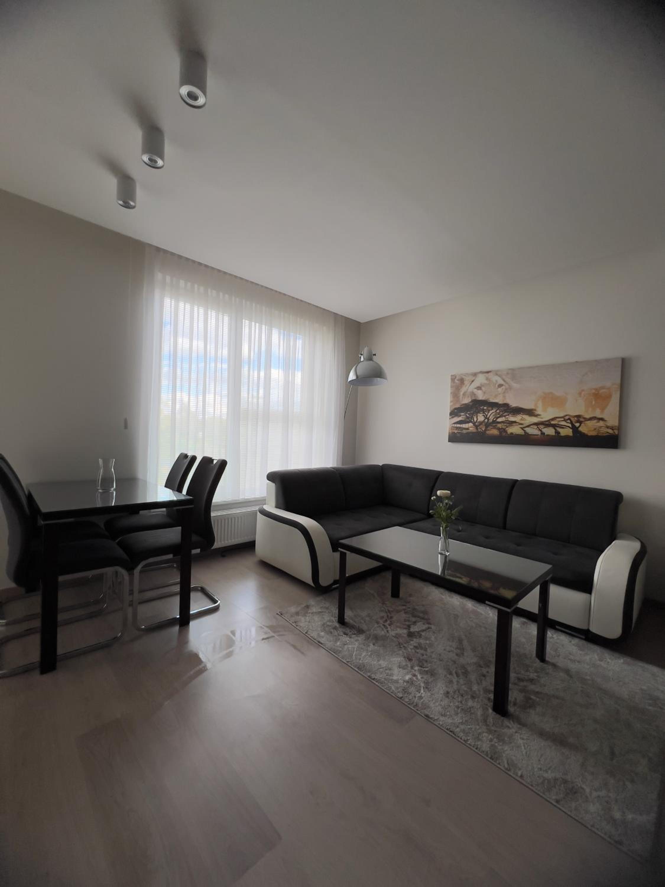 BNB New Beautiful Apartment in the Center of Ostrava with option Garage Parking