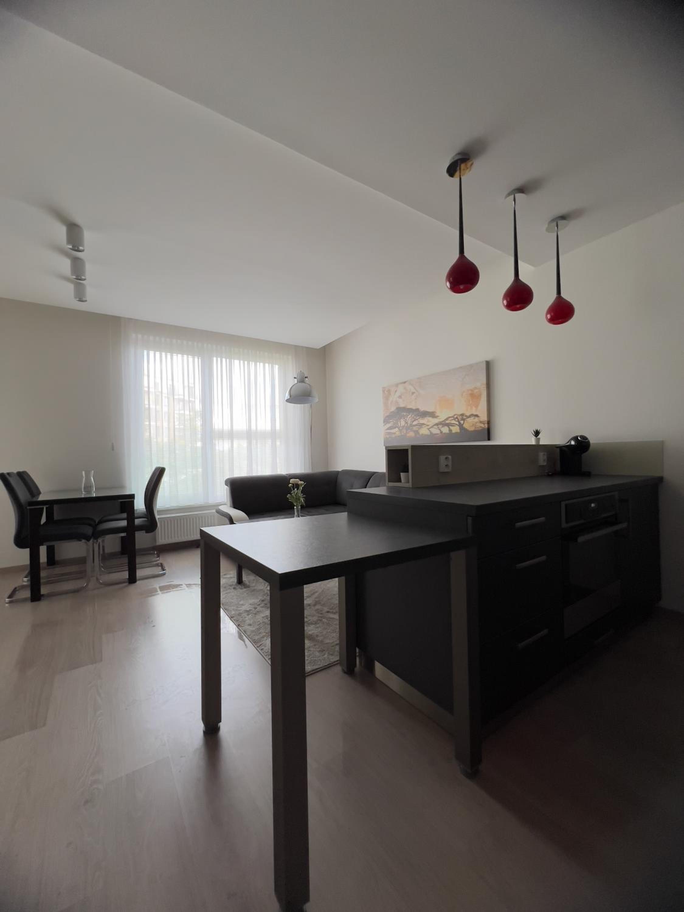 BNB New Beautiful Apartment in the Center of Ostrava with option Garage Parking