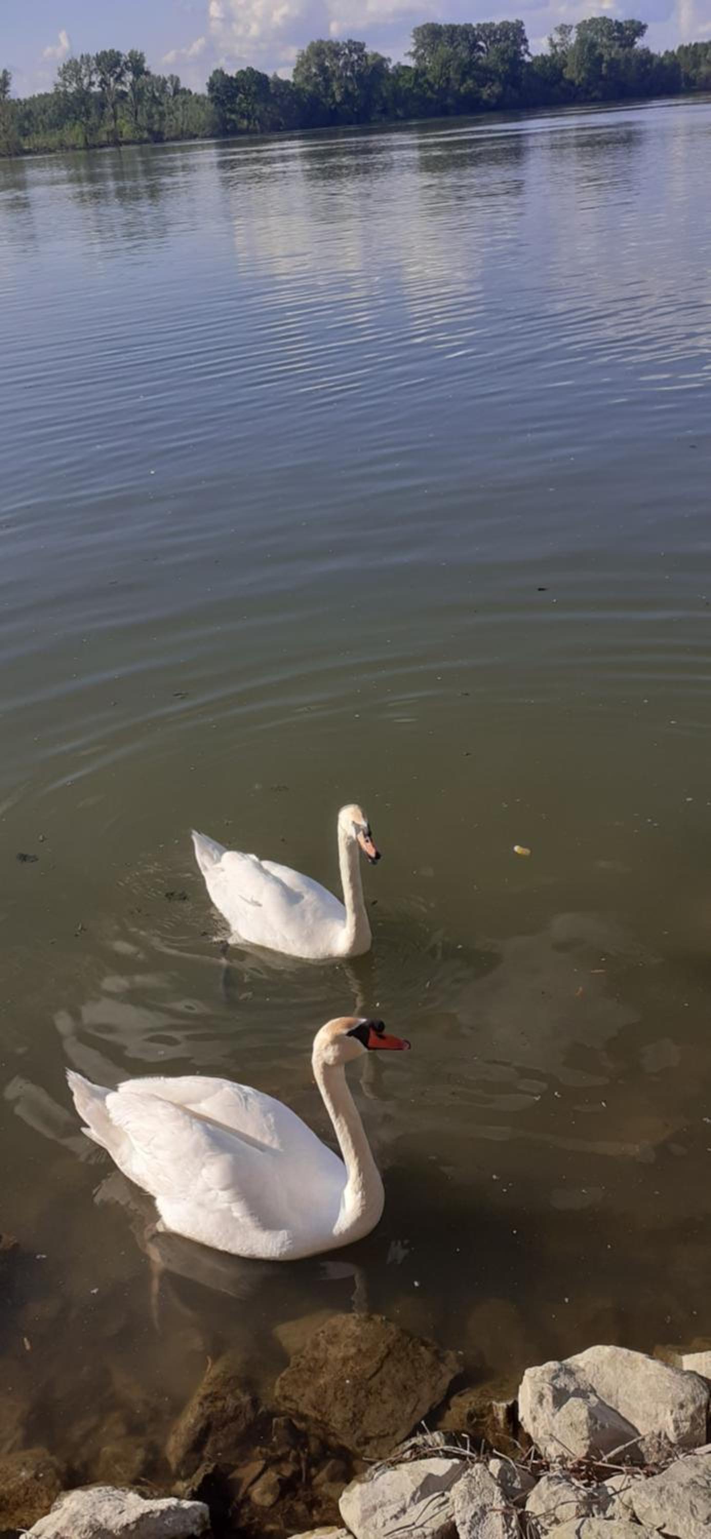 Felikitas