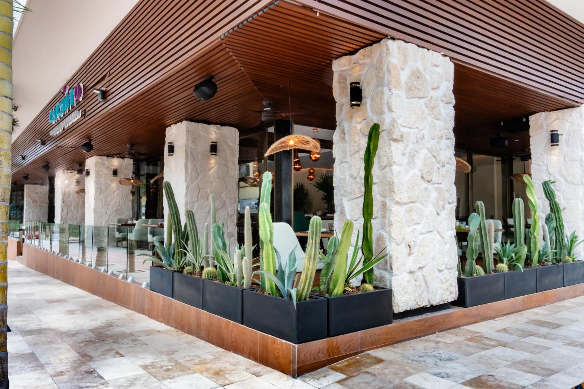 The Reef 28 Hotel  Spa - Luxury Adults Only - All Suites - With Optional All Inclusive - Property Image 11