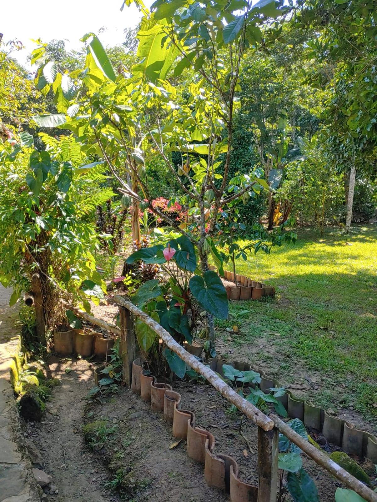 CAMPOWASI Hostel