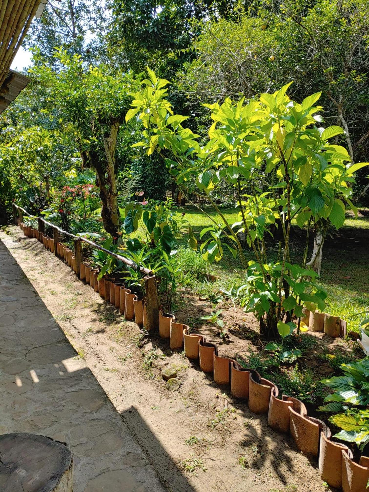 CAMPOWASI Hostel