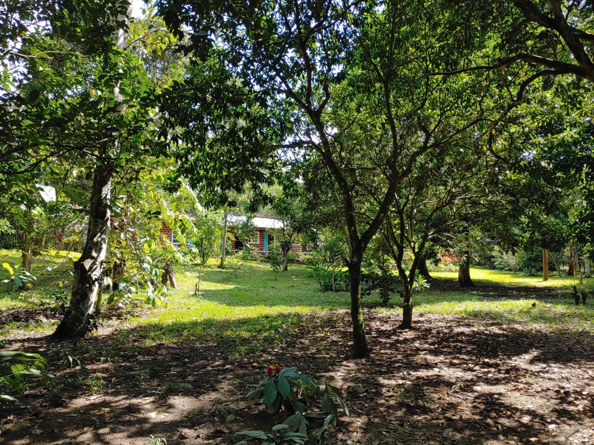 CAMPOWASI Hostel