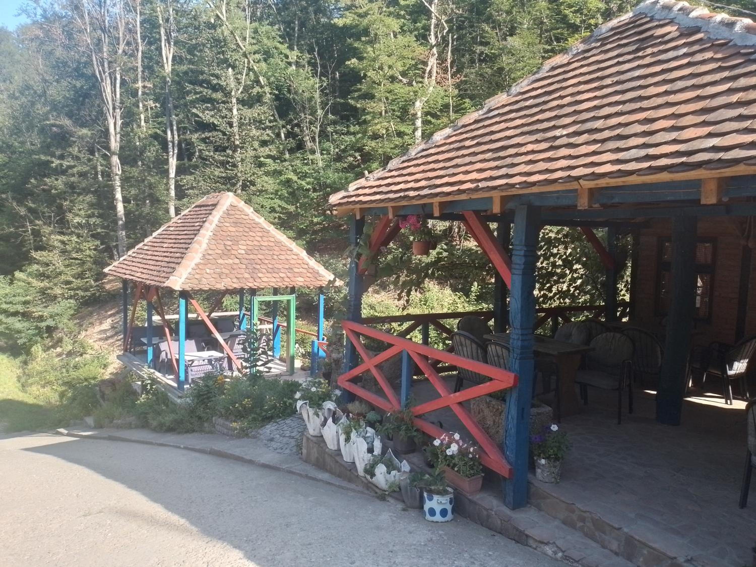 Photo 8